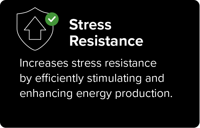 Stress resistance image with icon