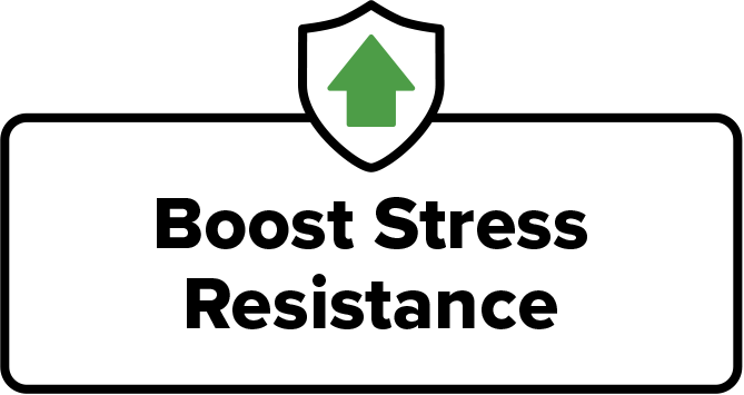Boost stress resistance box graphic