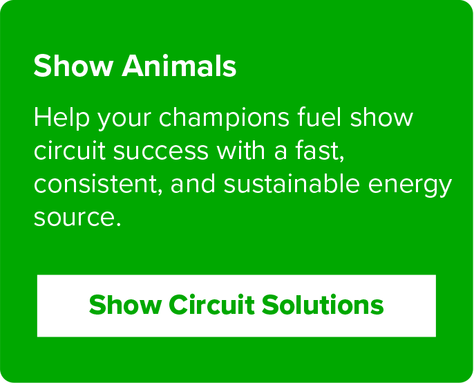 Click to discover more about fast energy for show animals
