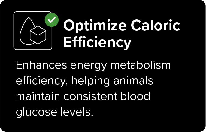 Optimize caloric efficiency image with icon