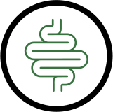 Gut health for poultry icon