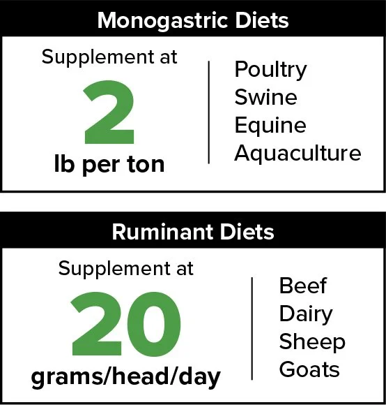 ENERCORE Energy Feed Additive Feeding Rates