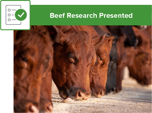 2026: ENERCORE-Plus beef research presented image
