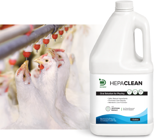 2025: Biosen launches HEPACLEAN oral solution for poultry image