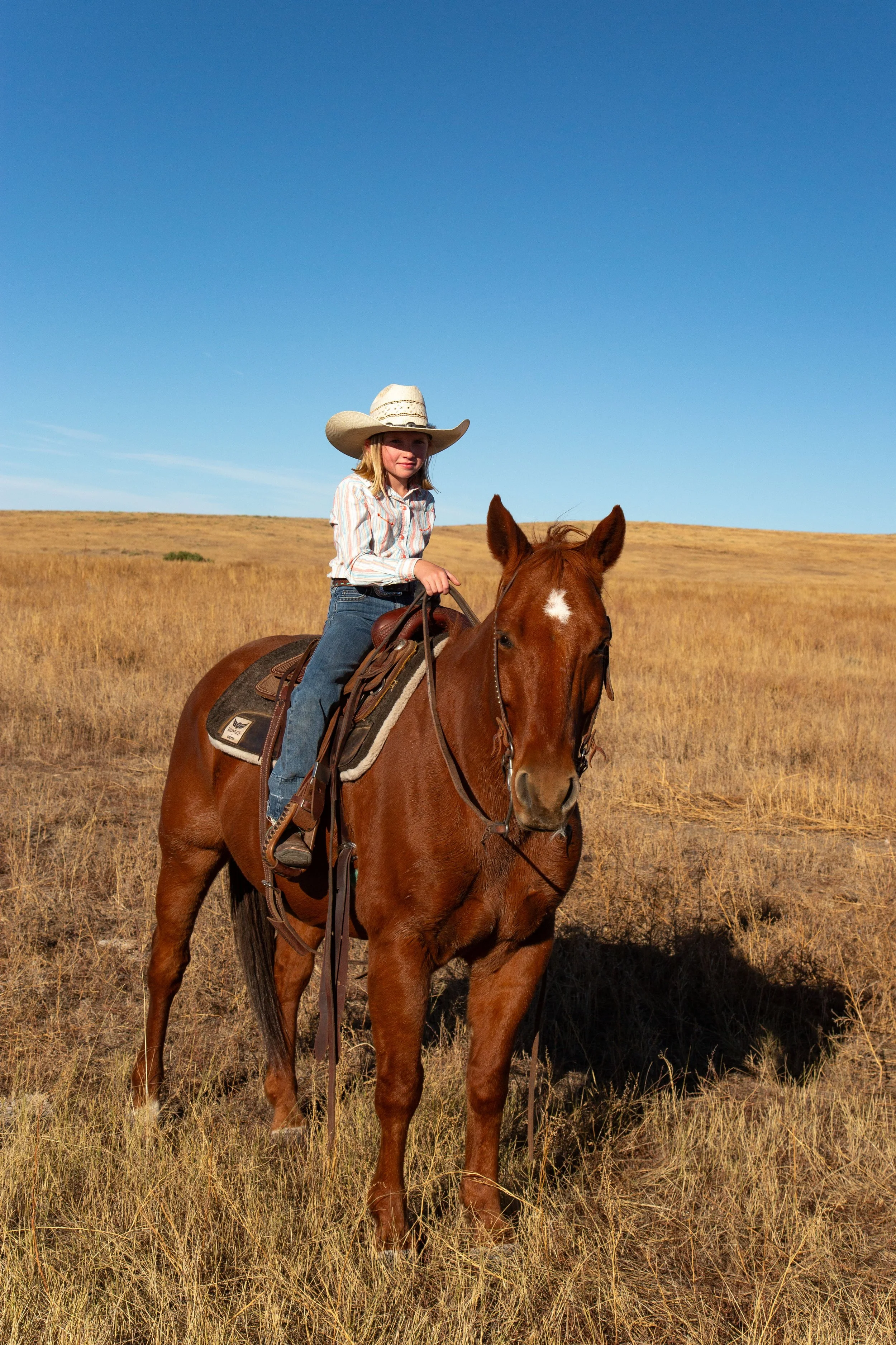 A young girl wearing a cowboy hat, long-sleeve shirt, and jeans rides a brown horse across a dry, open grassland with a clear blue sky overhead.