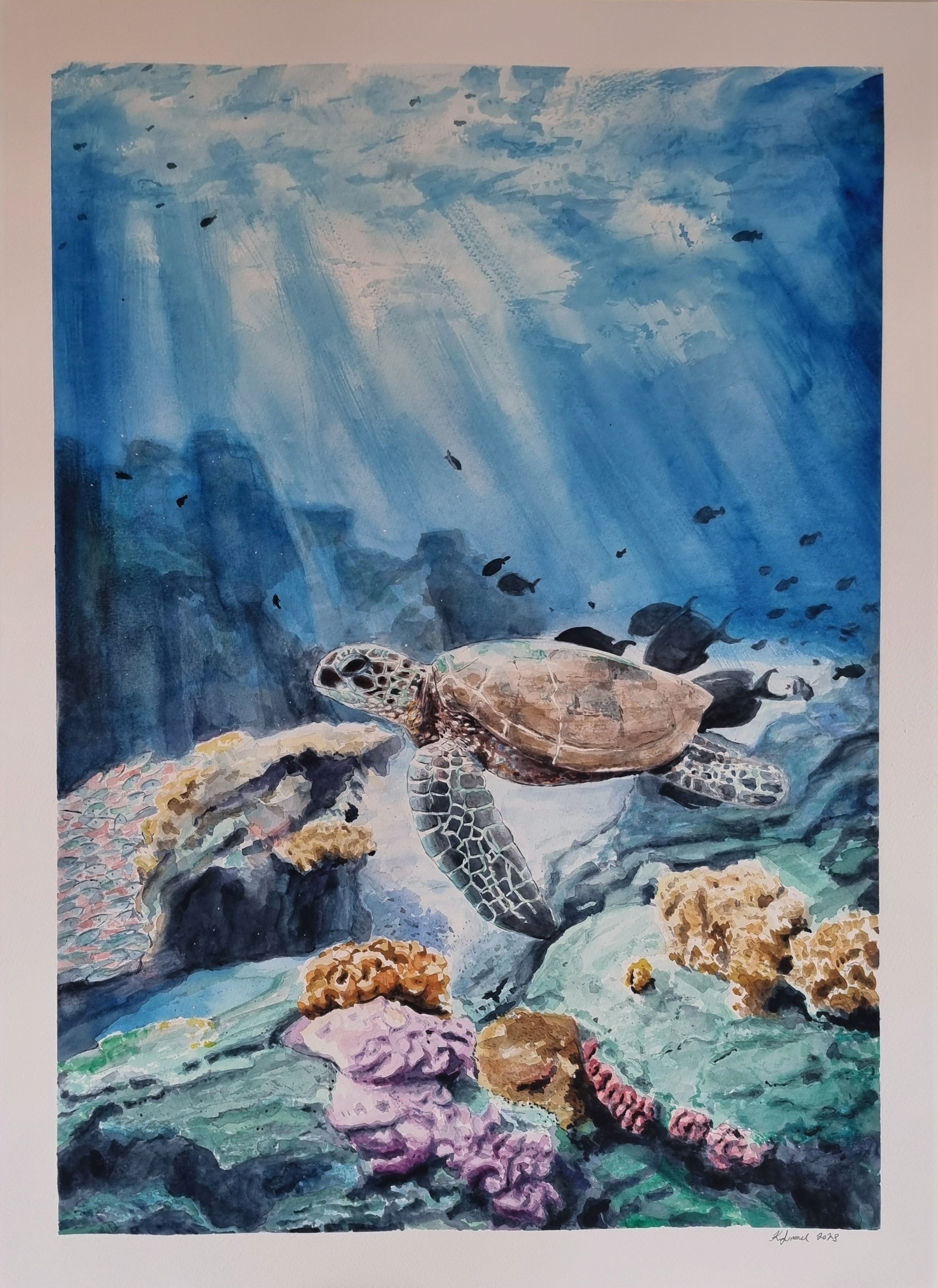The Reef.jpg