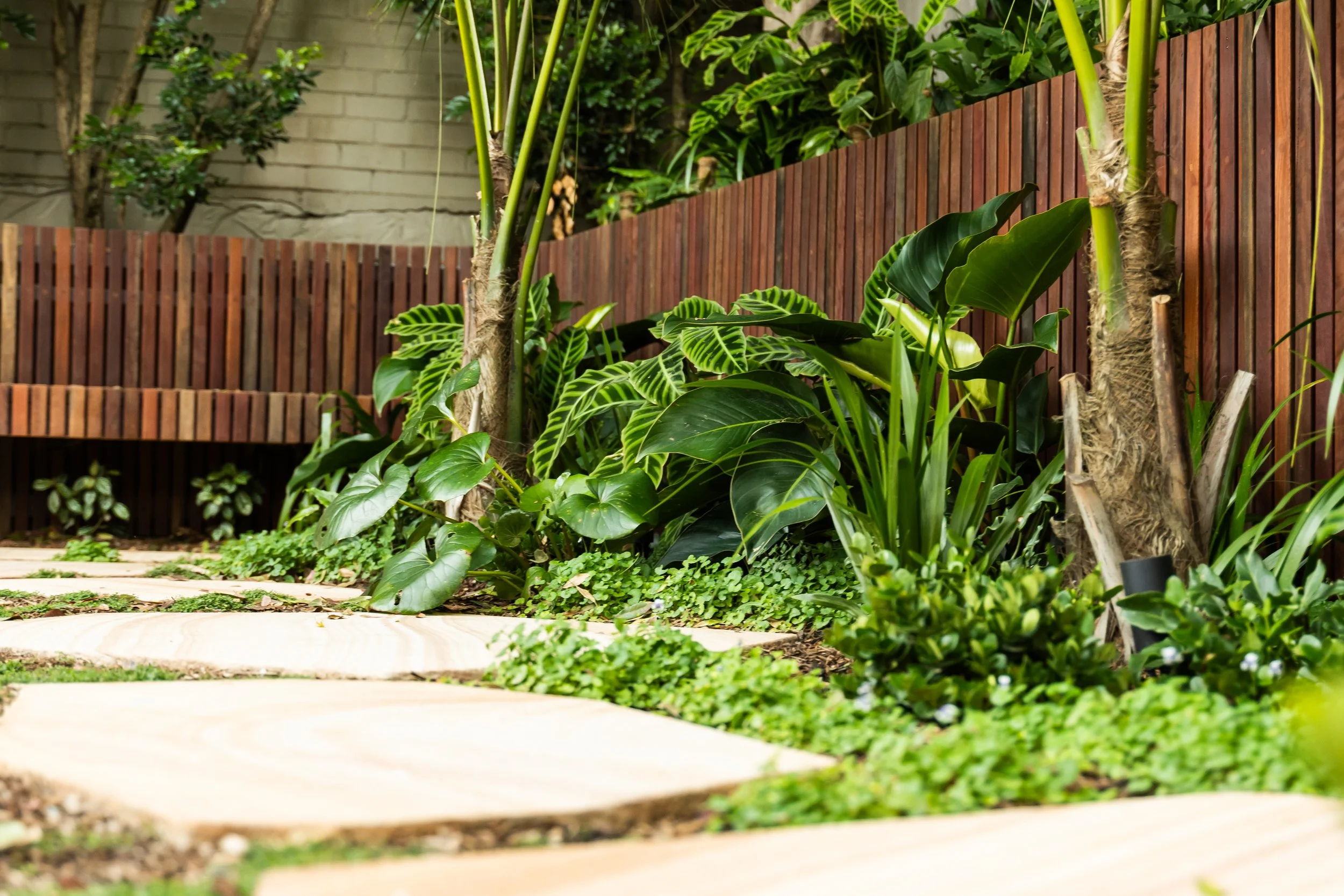 Freshwater Project-72.JPG