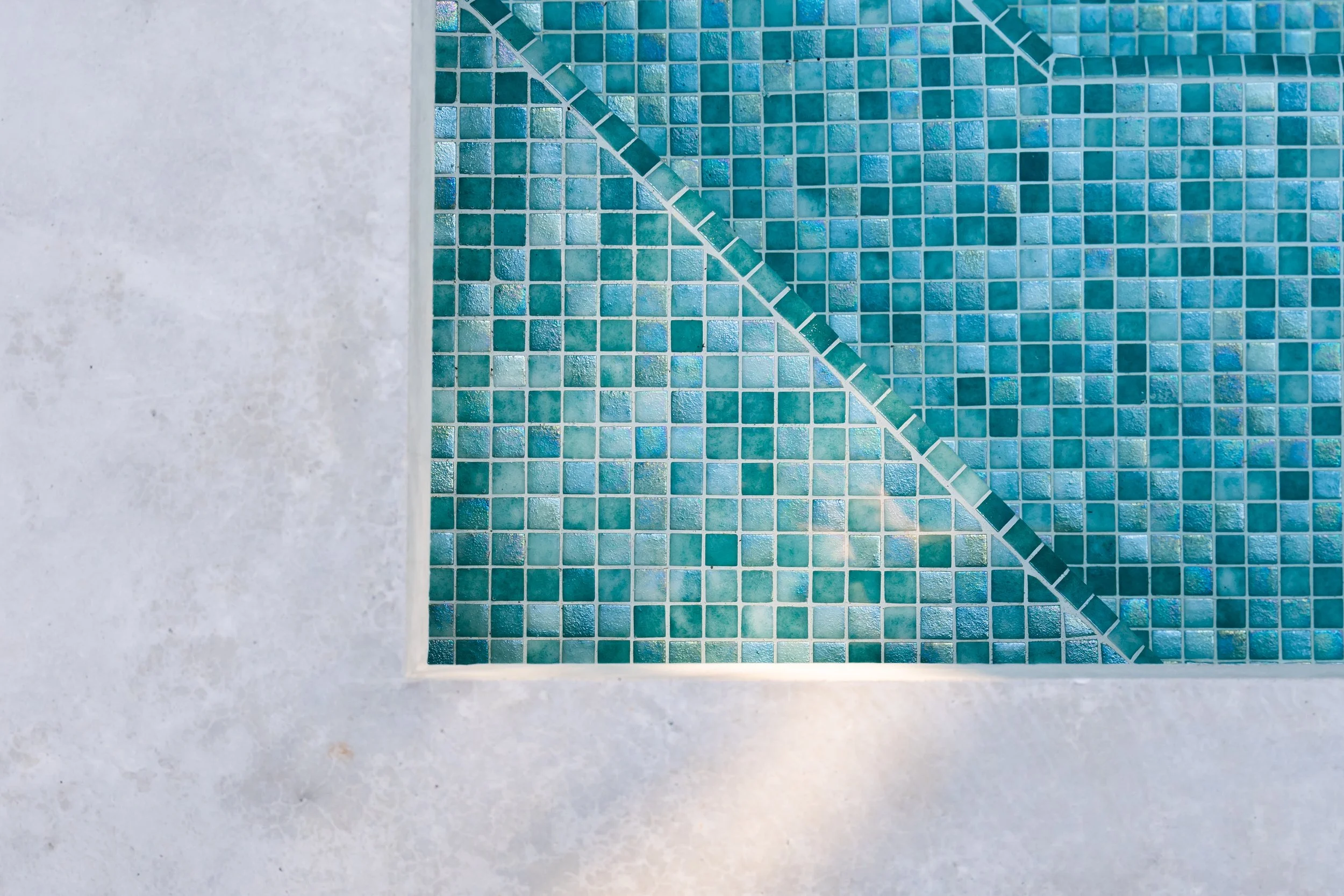 Freshwater Project-32.JPG