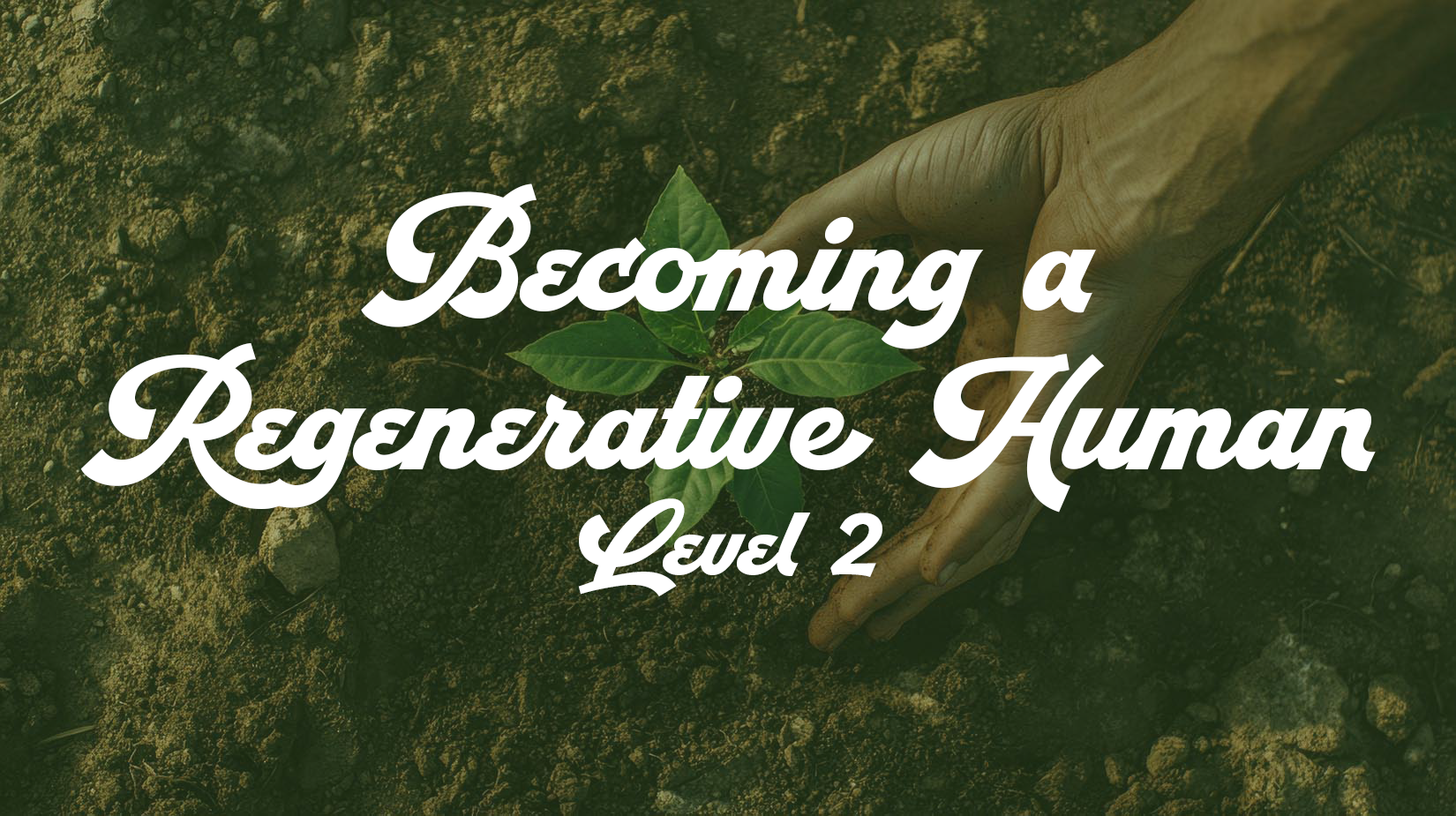 Level II - Becoming a Regenerative Human: Gathering Circle 4