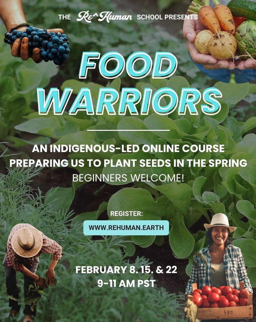 Food Warriors Module 4