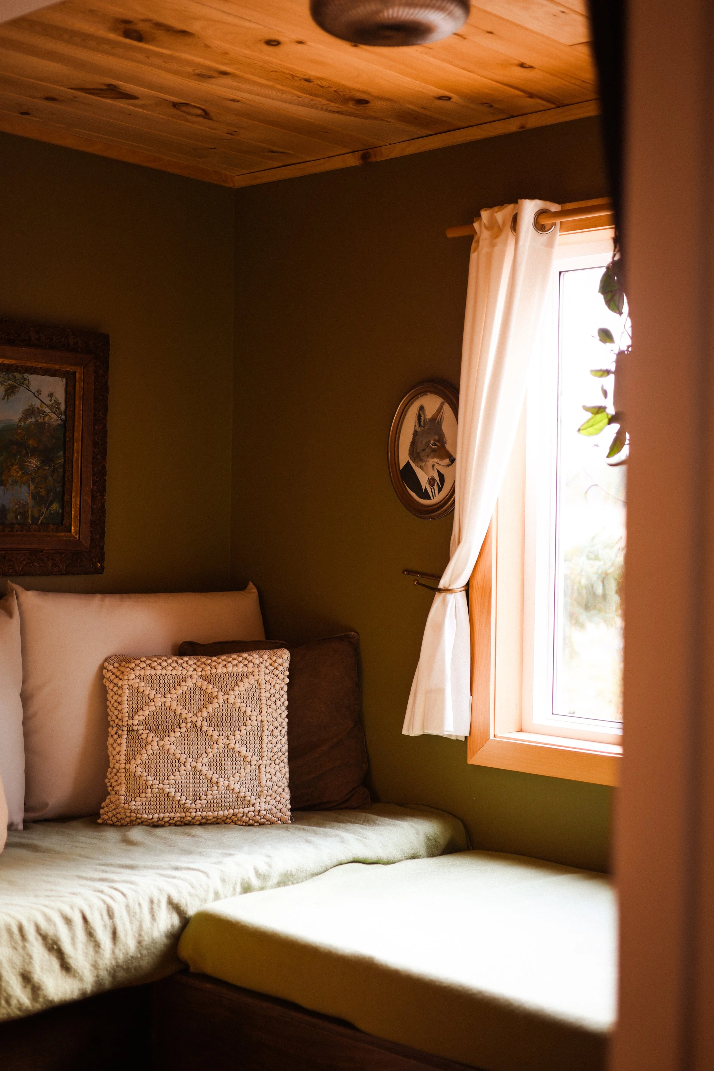 A cozy corner of a bedroom with a bed, several pillows, a window with white curtains, and framed pictures, including one of a fox in a business suit, on the wall.
