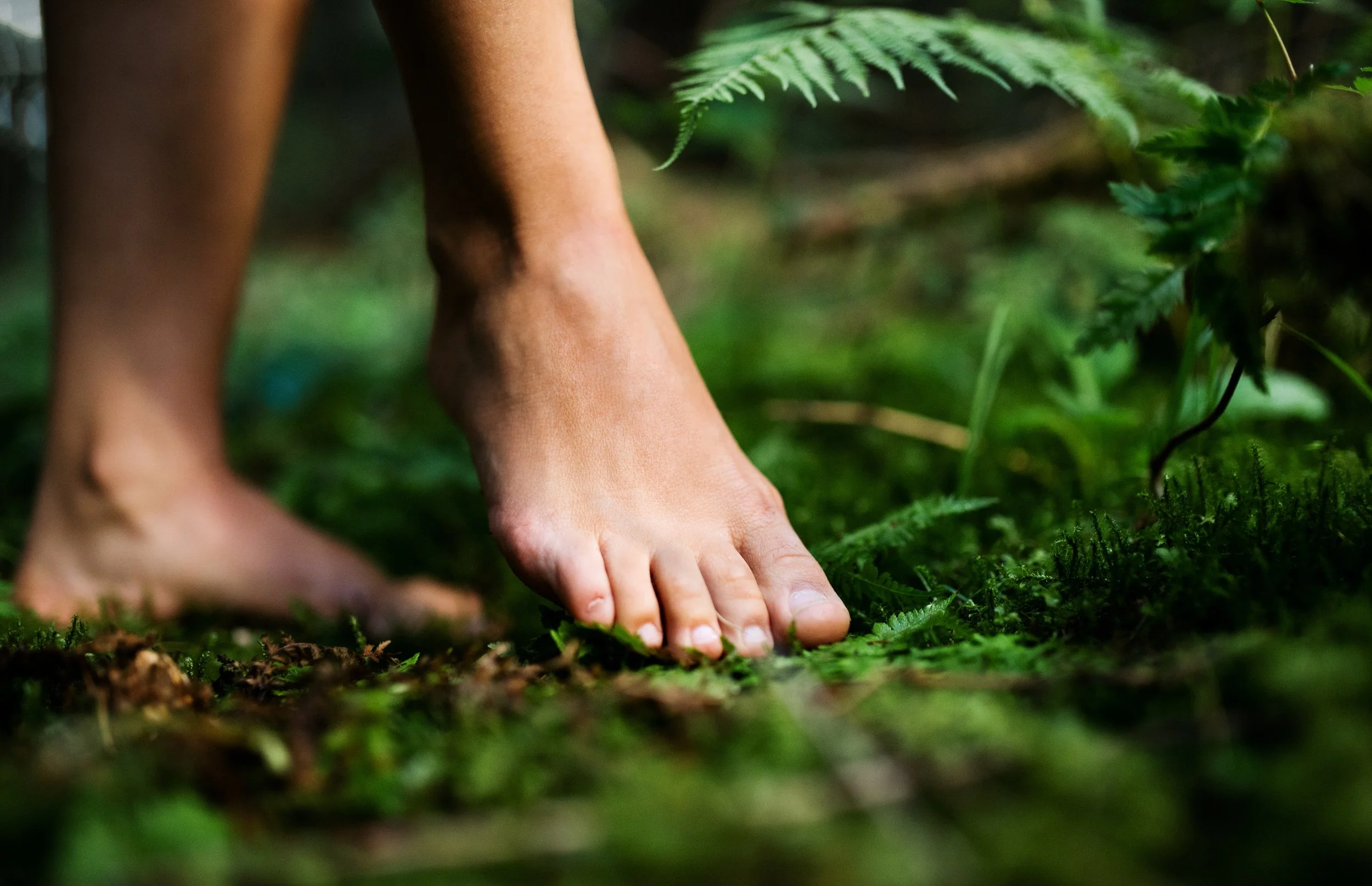 Feetongmosswalking.jpg