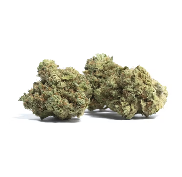 Mango Haze 〡Sativa