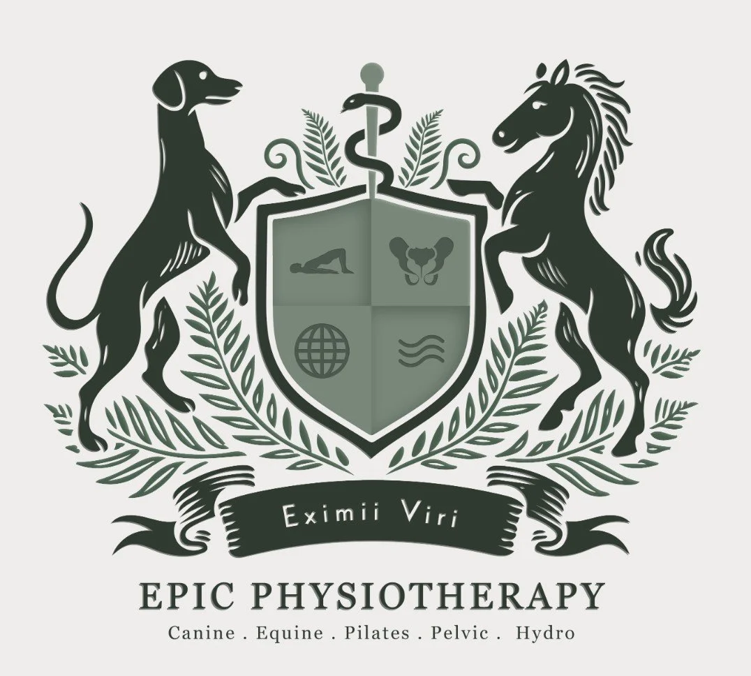 Screenshot 2026-01-21 103718.jpg