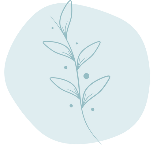 Floral illustration representing registered psychologists in Taree, supporting mental health, therapy, and rehabilitation, from an NDIS Registered Provider.