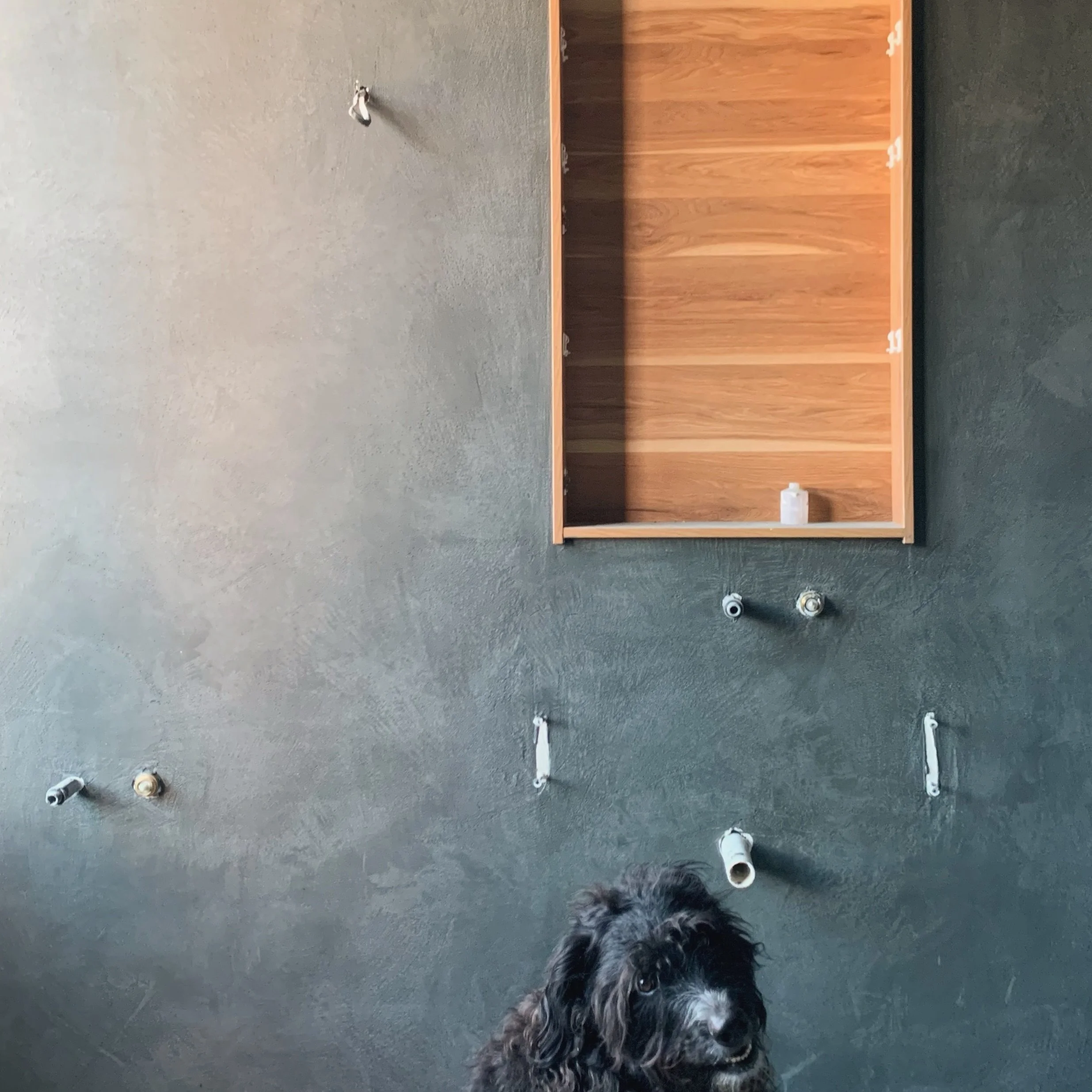 HOUSE OF SHADES
_________

​ruch &bull; Site Shots