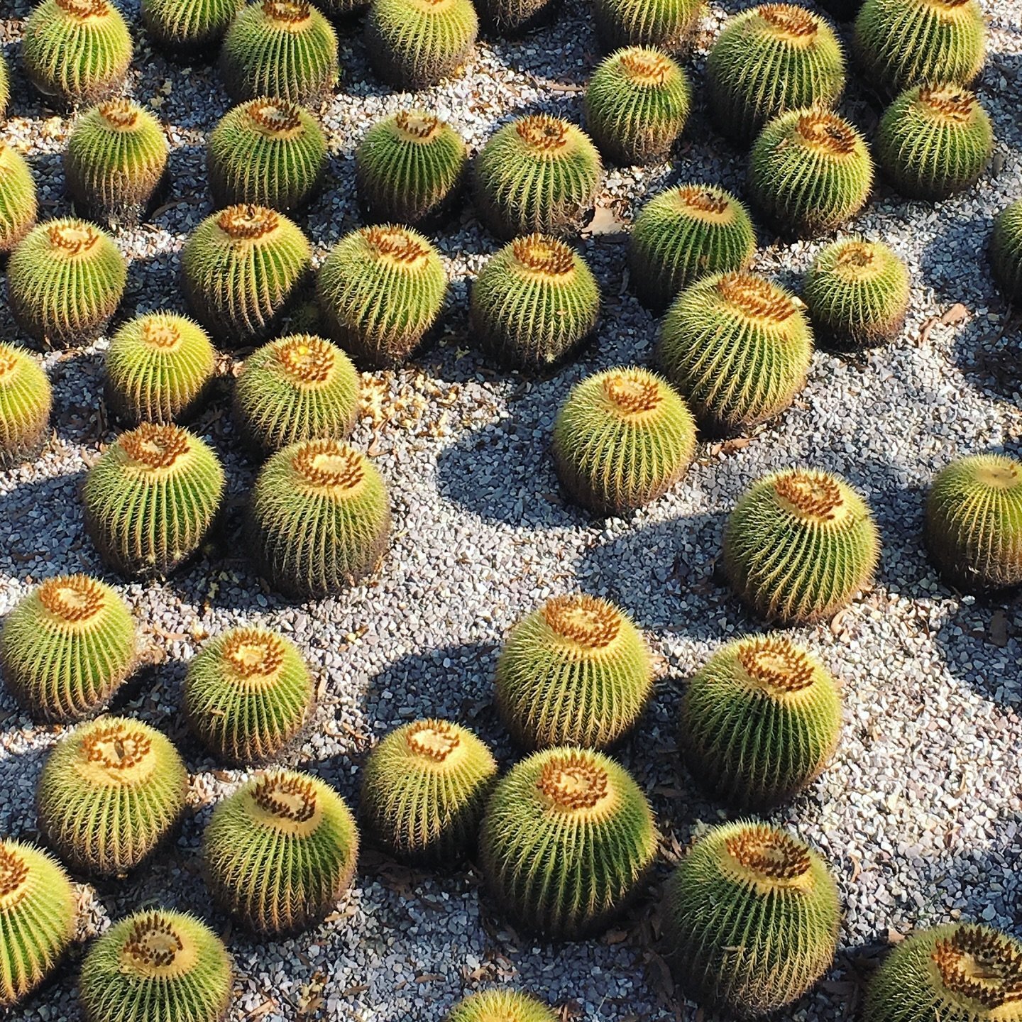 The Getty, LA
​​_________

Richard Meier

​​ruch &bull; Travel Snaps