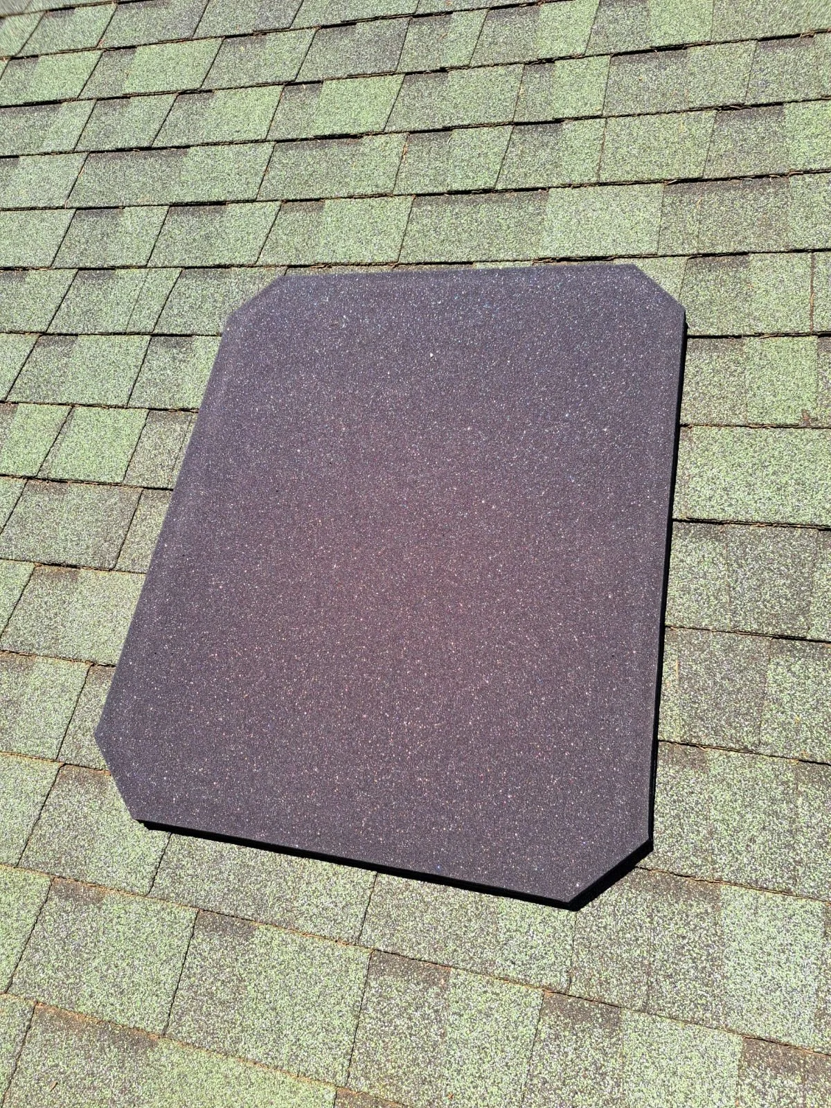 A black, textured racial testing or safety tile on a green shingled roof.