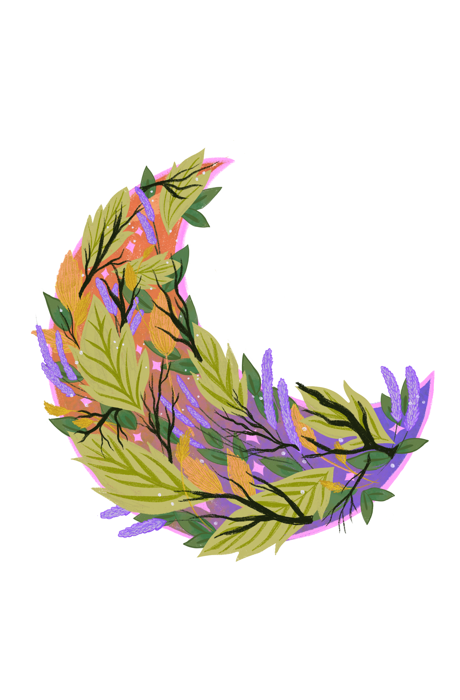 Untitled_Artwork 2.png