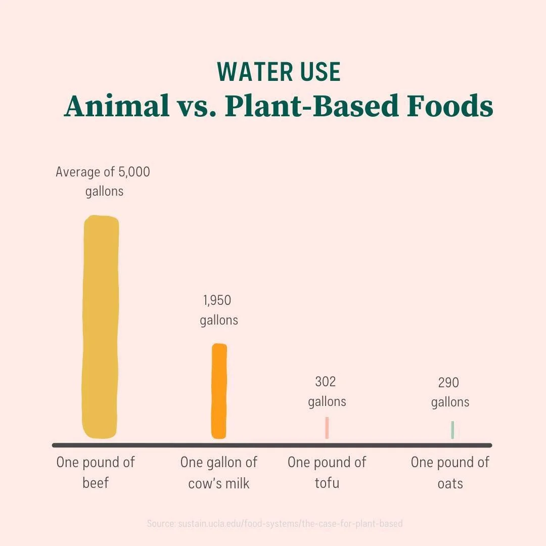 Thistle Foods Water Use.jpg
