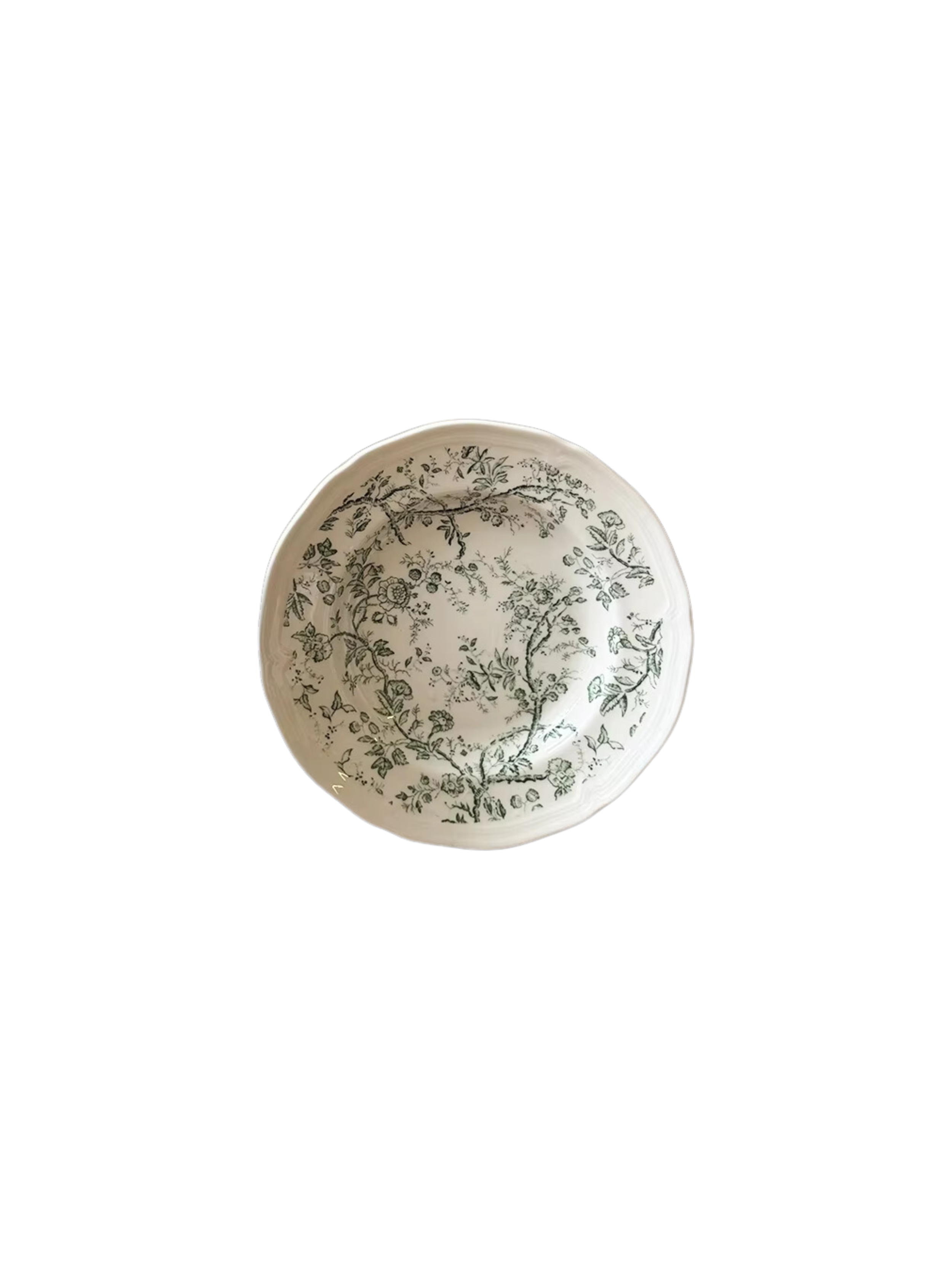 120 - Shallow Plate--JJM.png