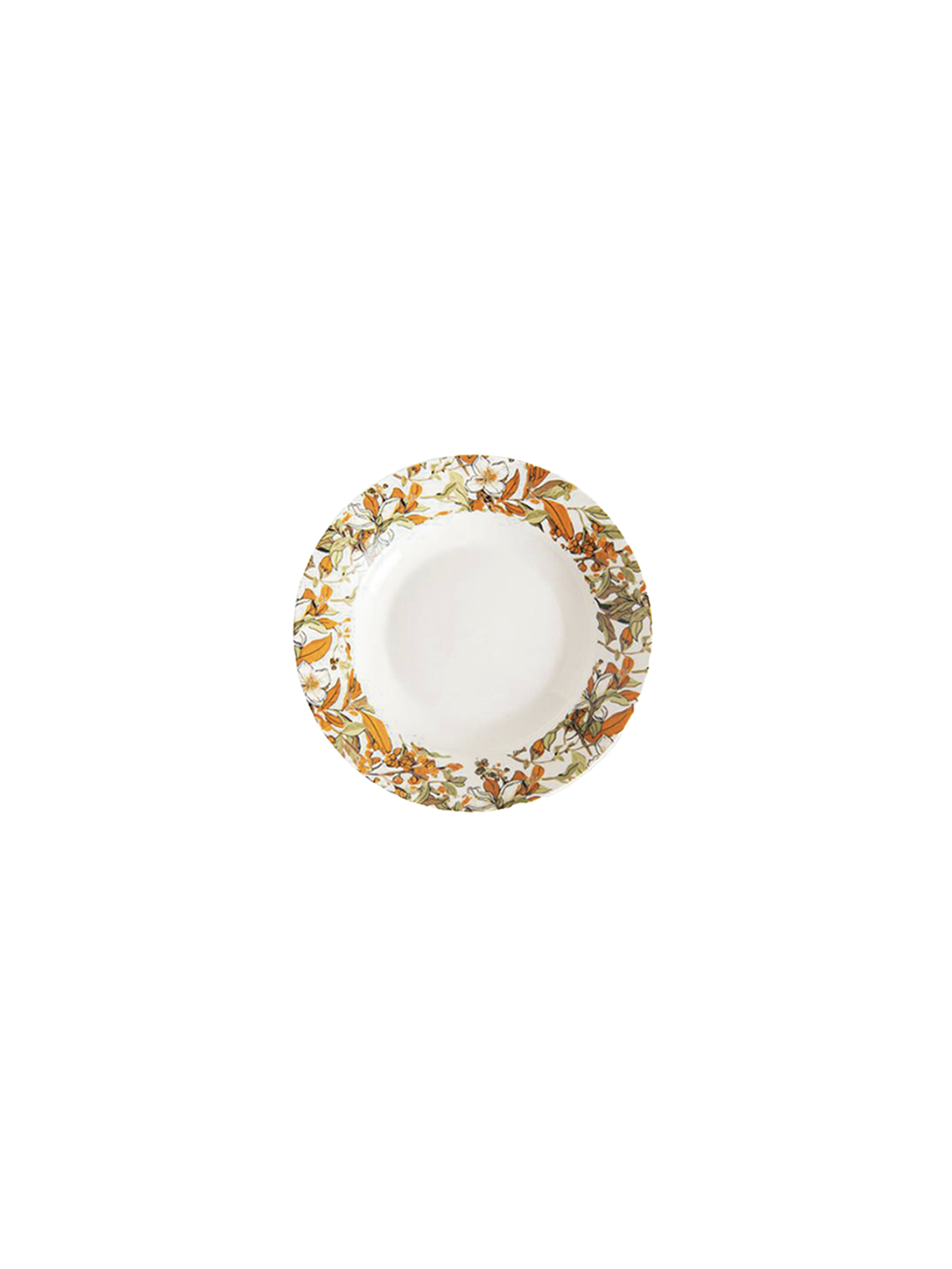 GC09-8-deep-plate-PYI.png