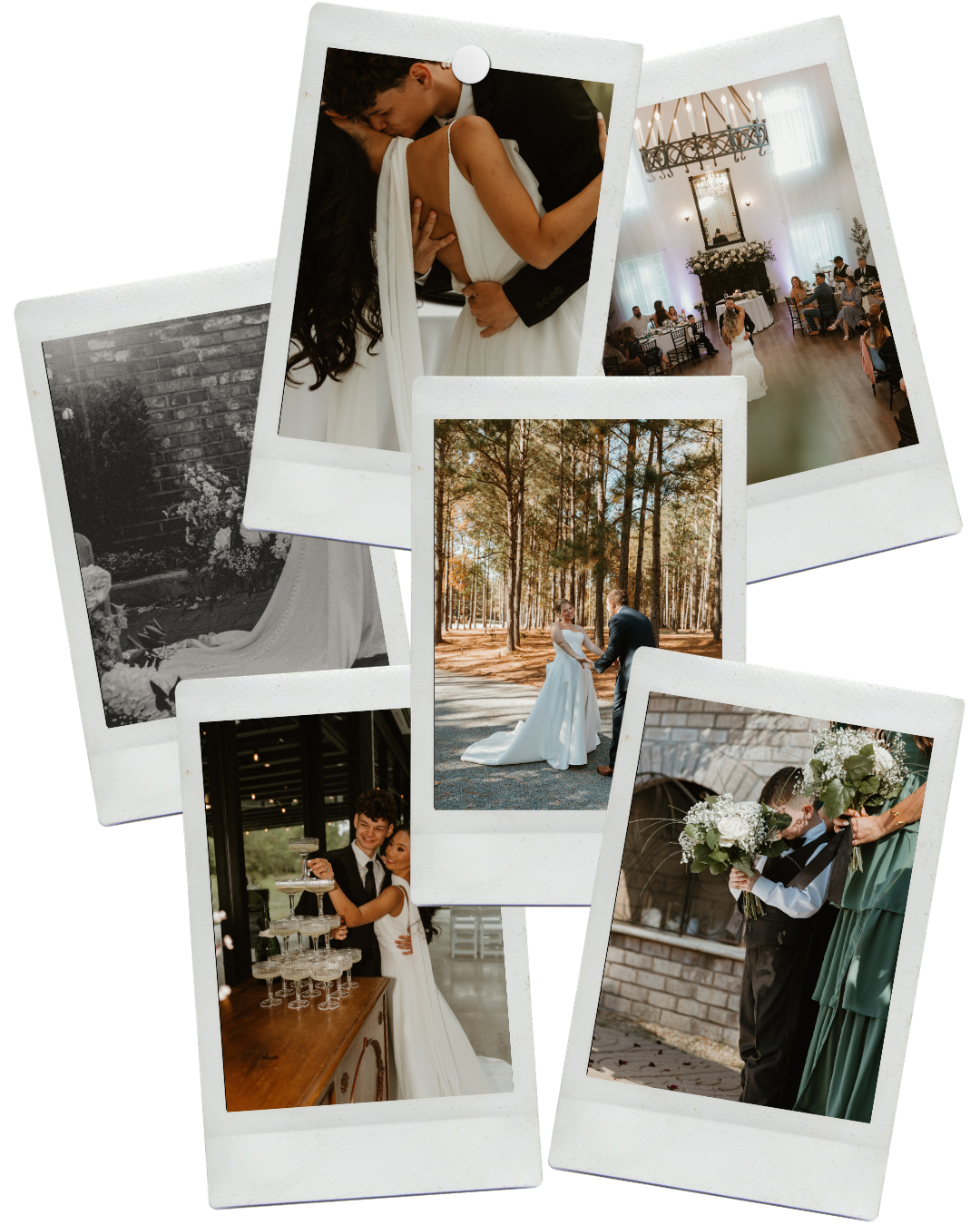 A collage of wedding photos including a couple kissing, the reception hall with a bride and groom dancing, a bride and groom holding hands outdoors in a forest, a bride and groom with champagne glasses, and a bouquet with a person holding it.