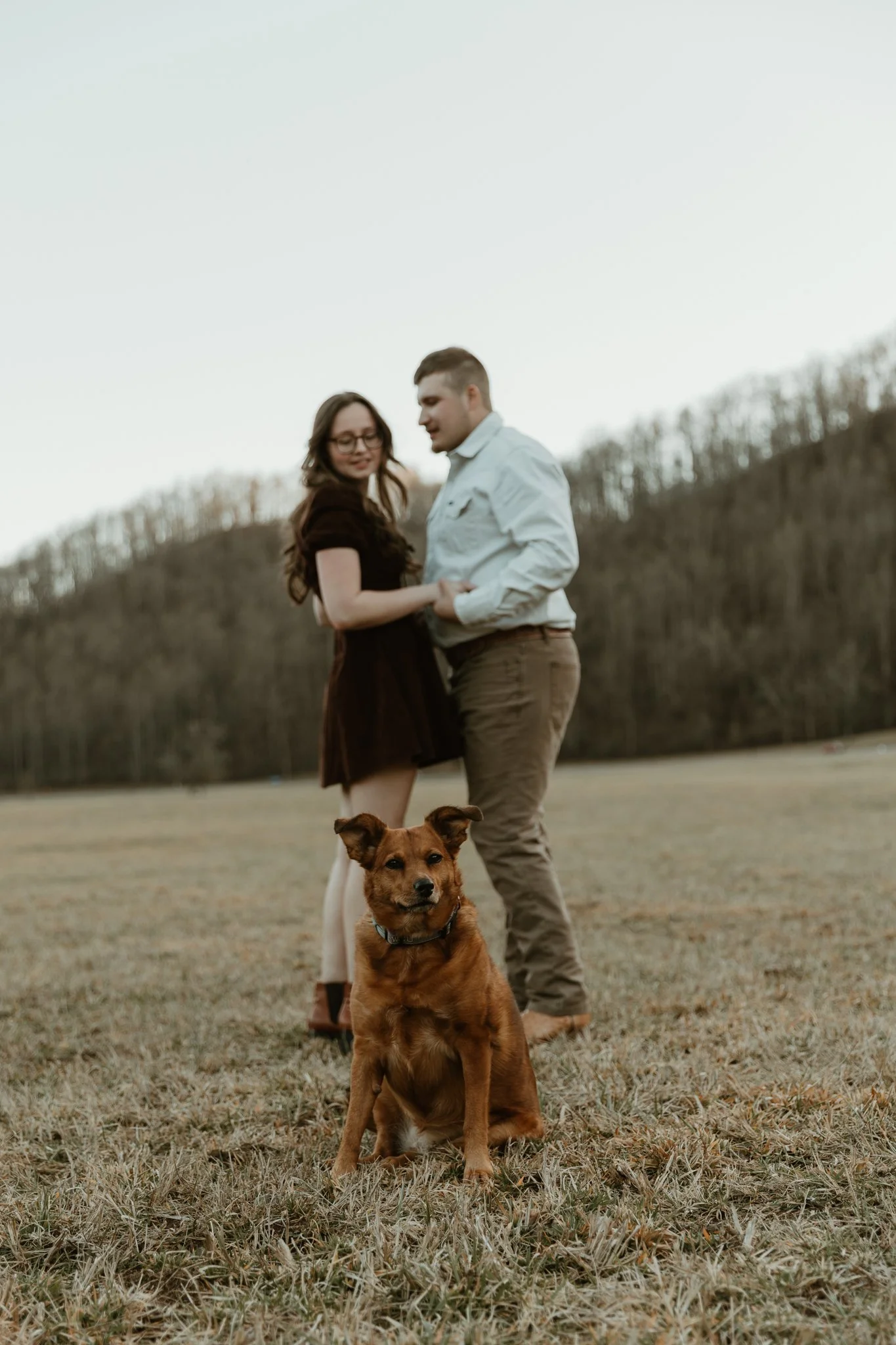 A couple is standing together in an open field with trees in the background, holding hands, with a brown dog sitting in the foreground.