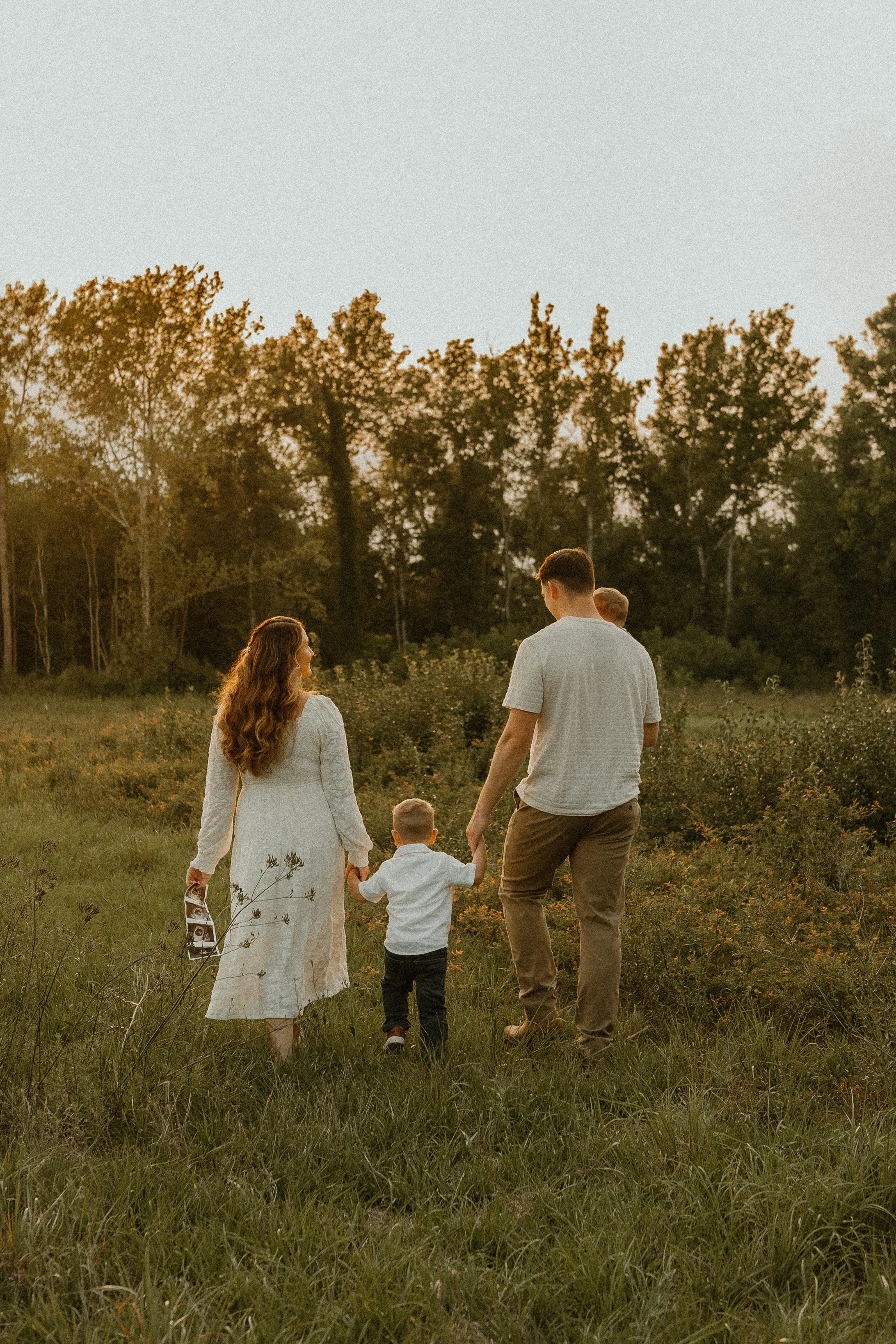 A family of four walking hand in hand through a grassy field at sunset, with trees in the background.