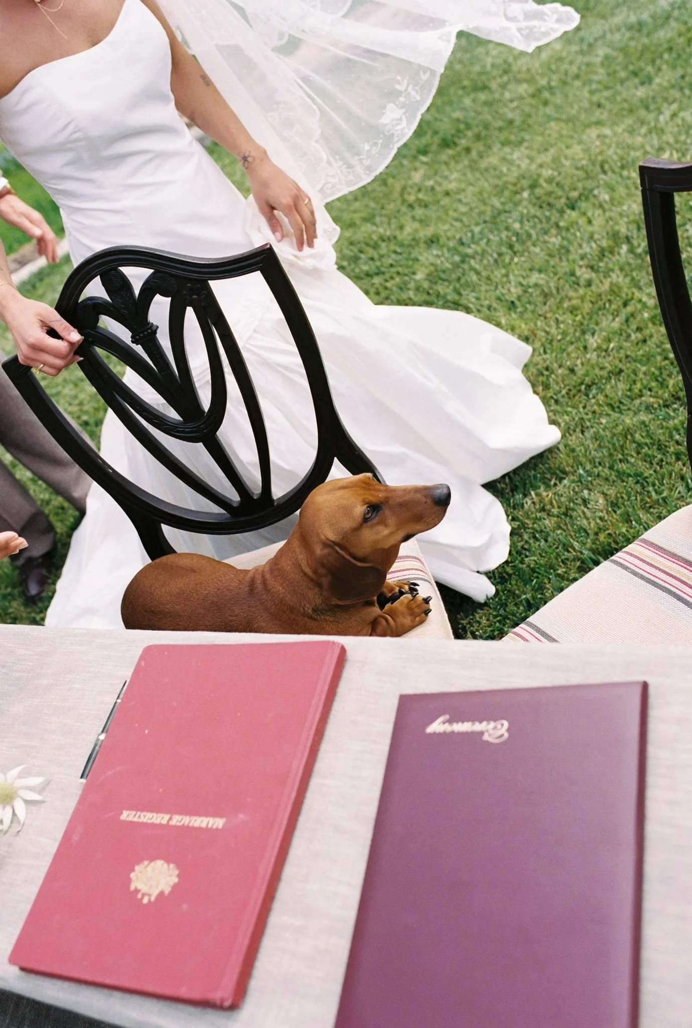 DARCY&BRENDAN_MIRANDASTOKKEL-155.jpg