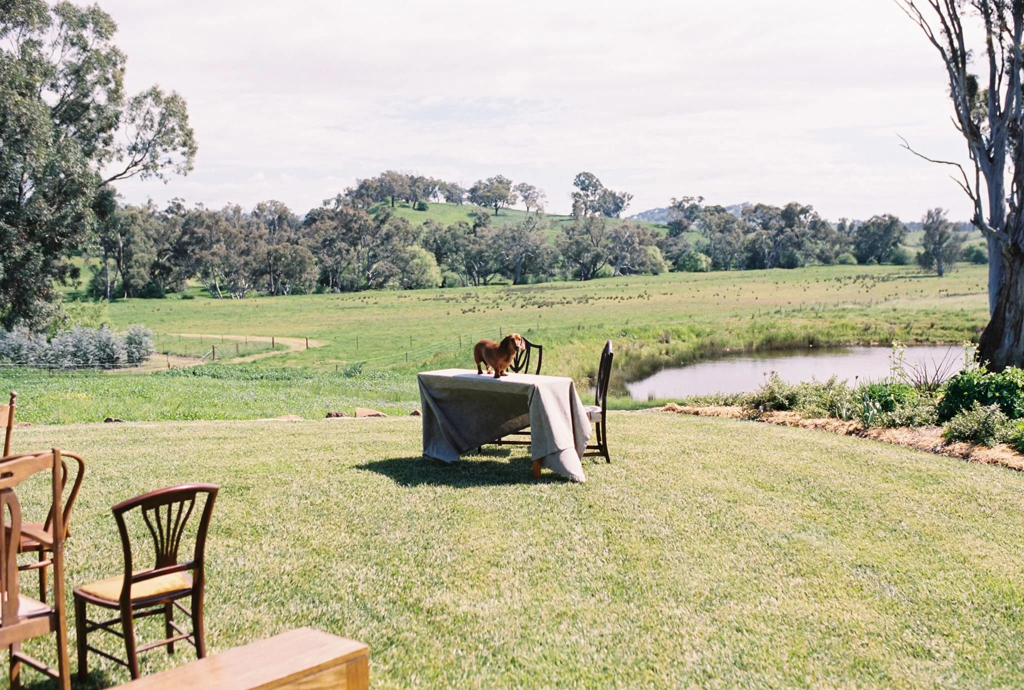 DARCY&BRENDAN_MIRANDASTOKKEL-91.jpg
