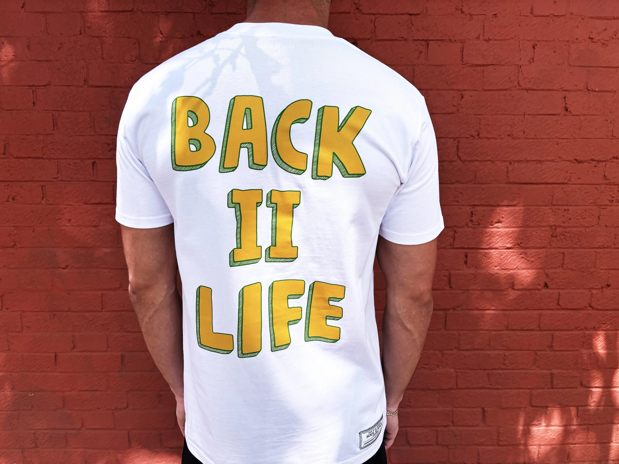 white back 2 life 1.jpg