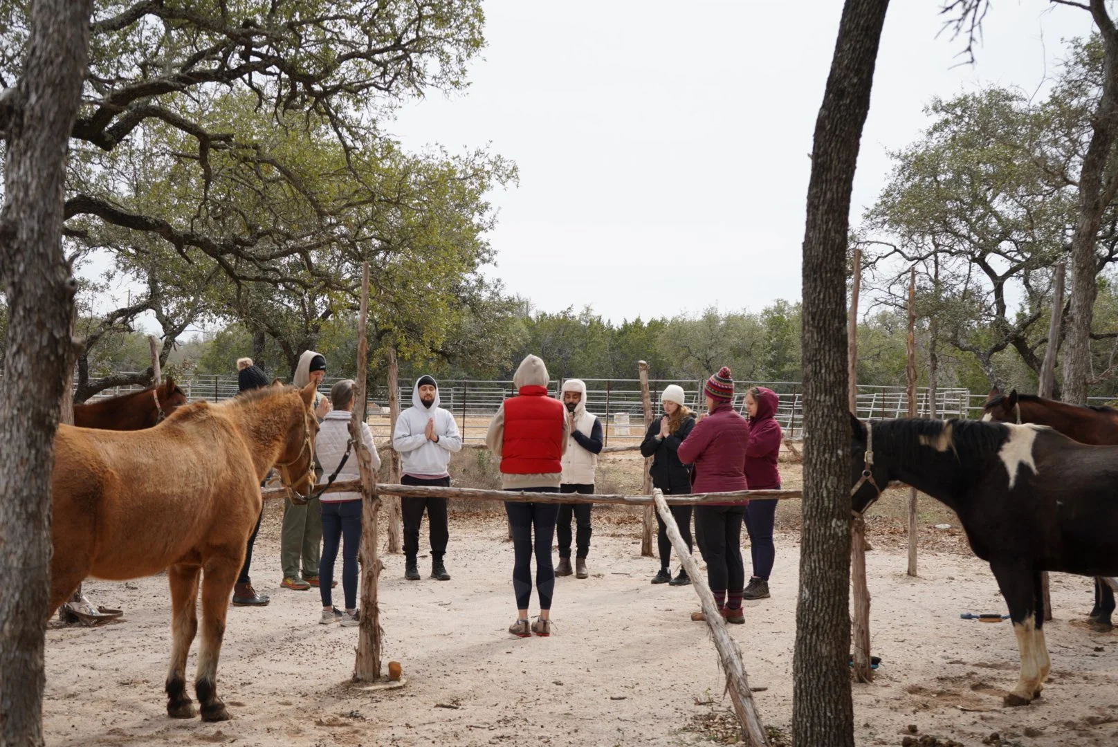 Why Regulation Comes Before Renewal