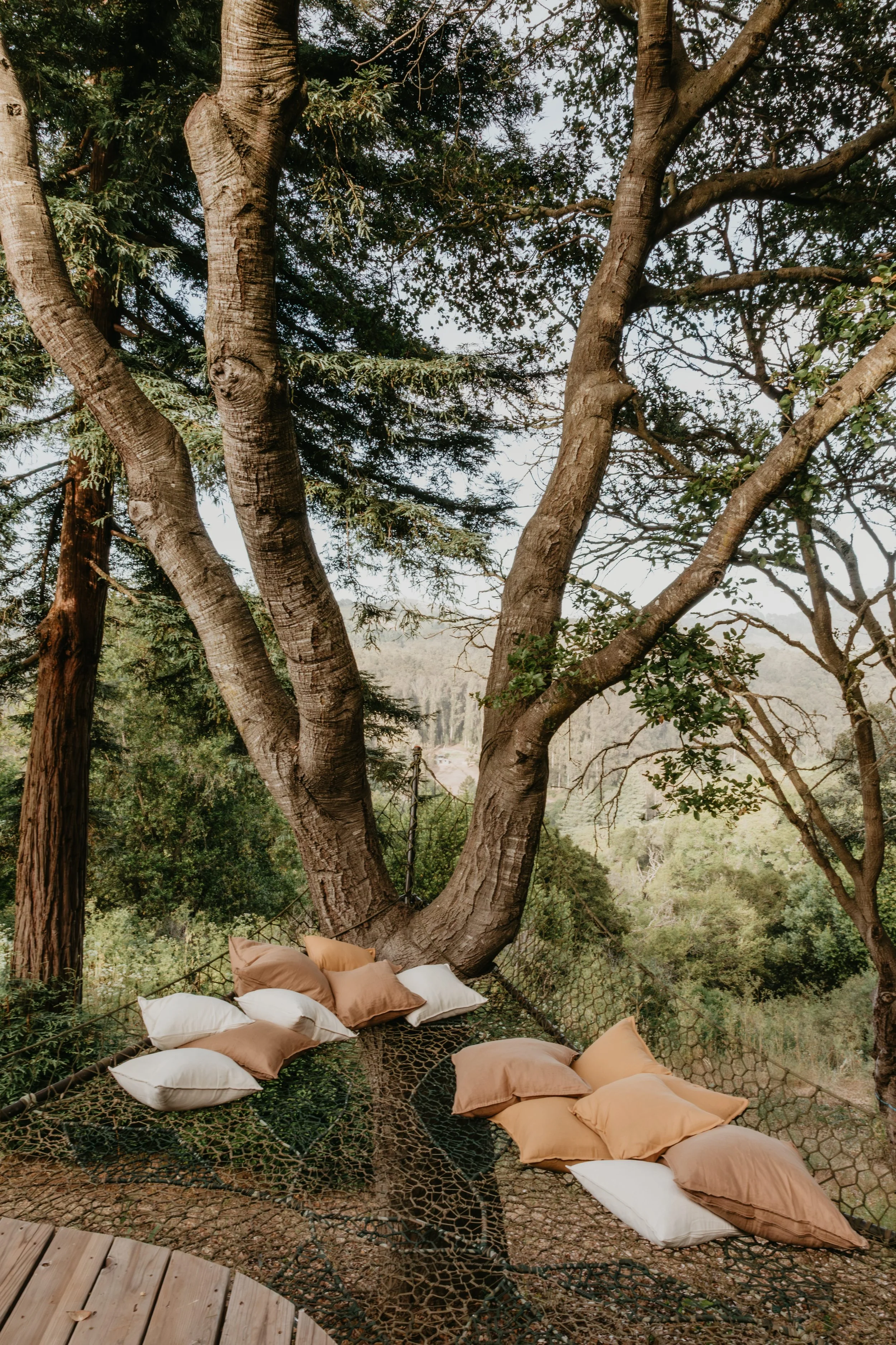 What to Expect at Our Berkeley Hills Yoga Retreat