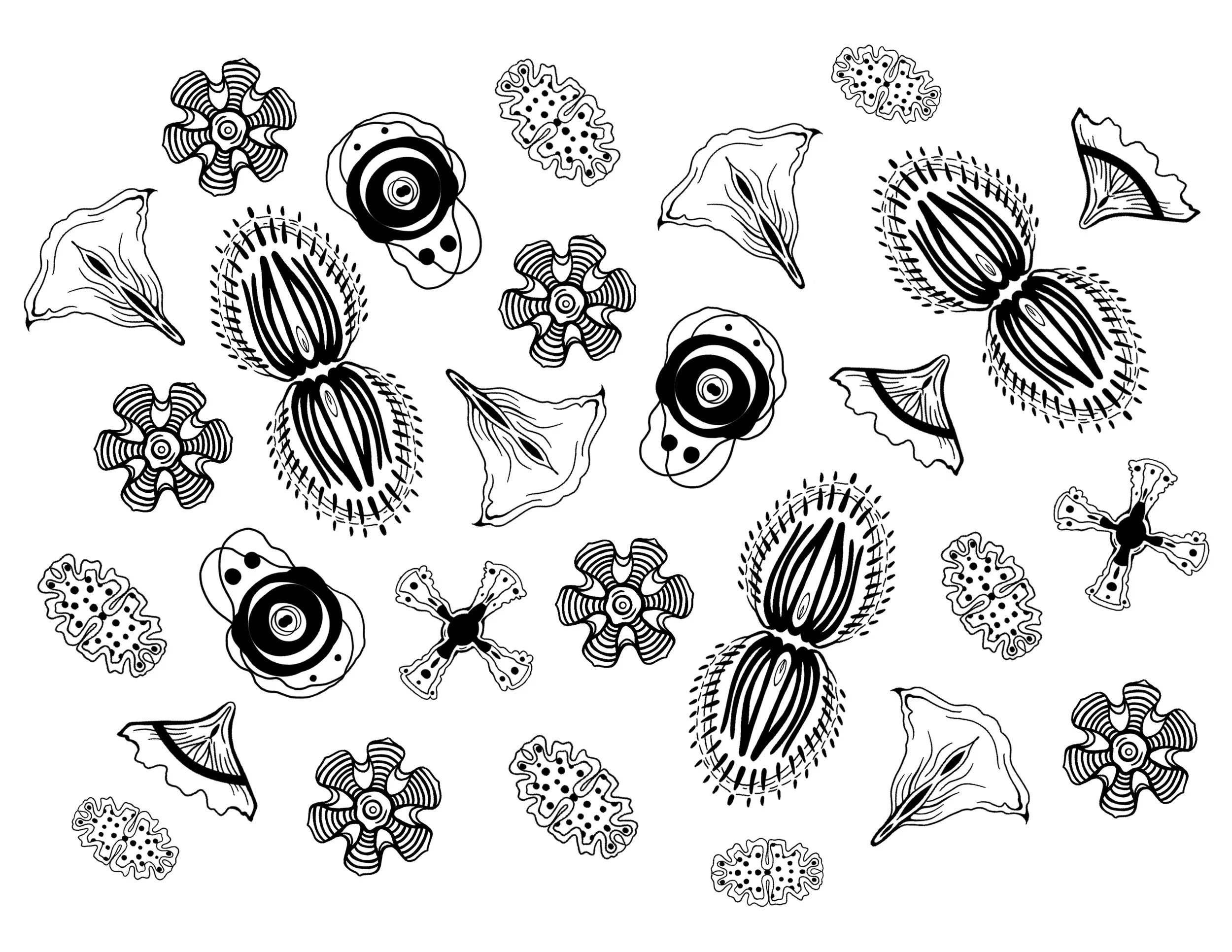 diseno crop2 top 8.5 x 11 copy.jpg
