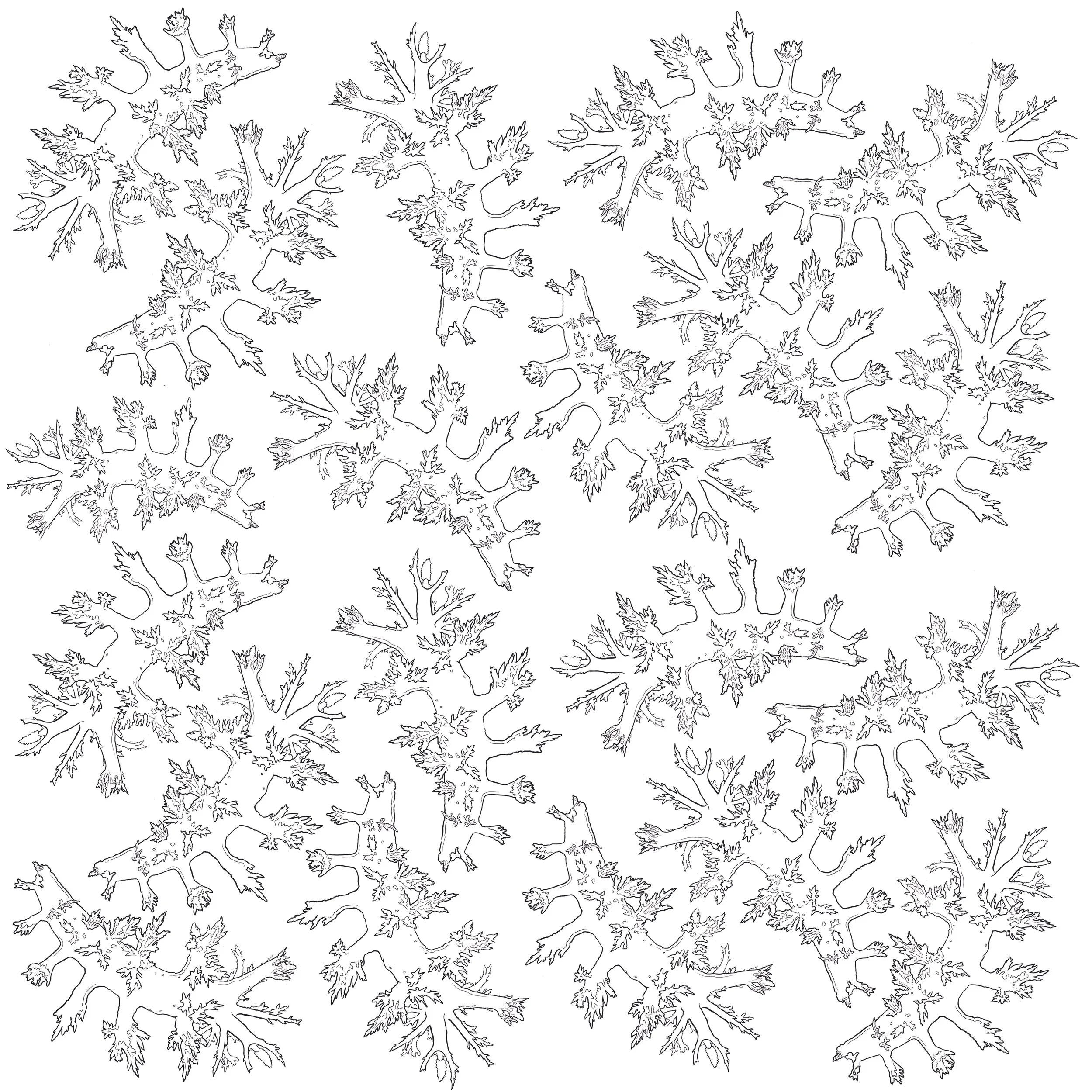 pulmones  copy 2.jpg