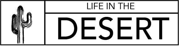 Asset+1.png