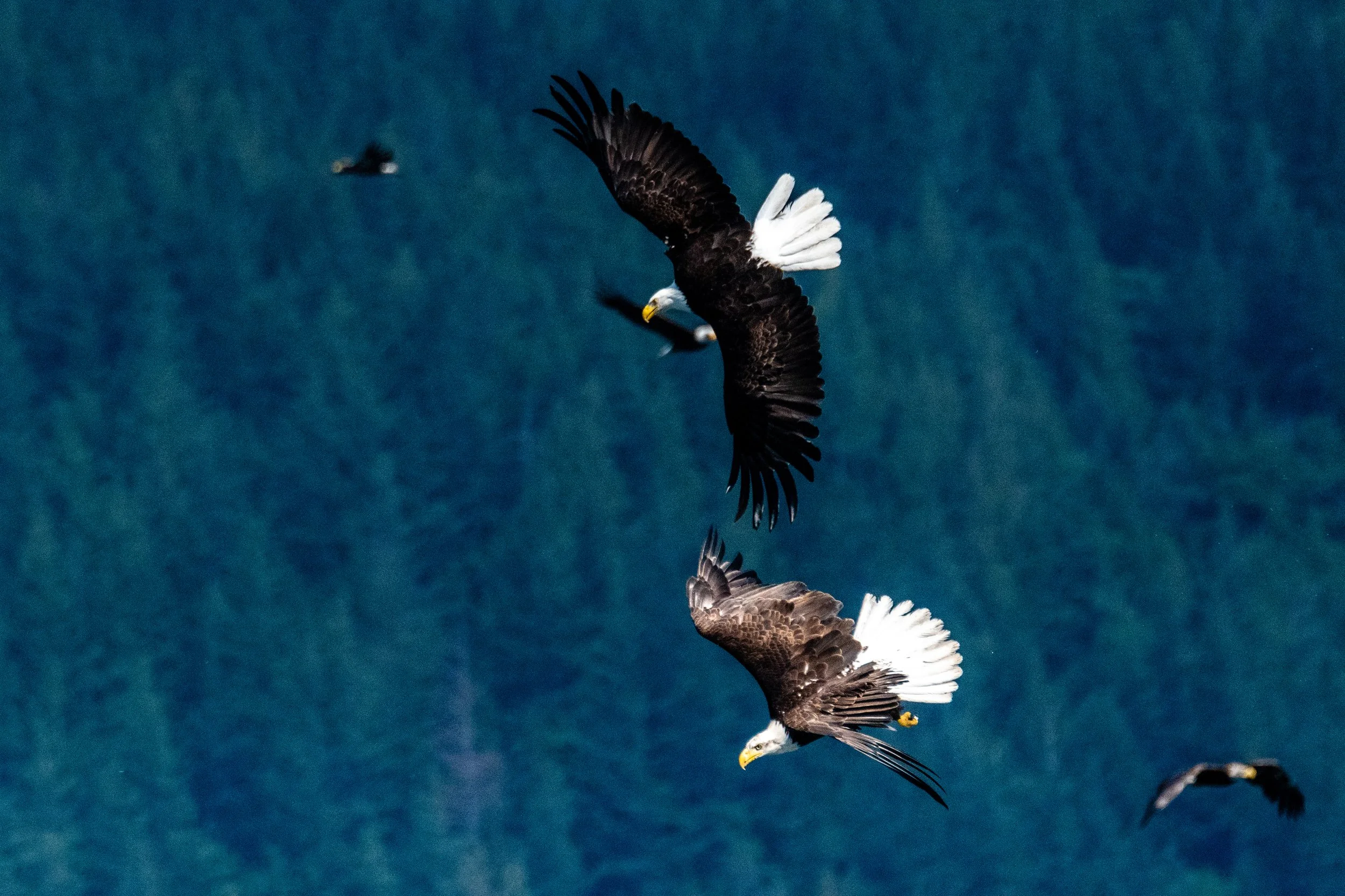 iStock-2005901115.jpg