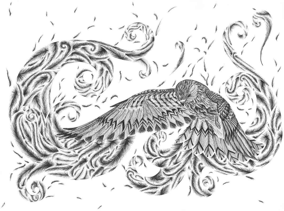 Falcon - 2014, ink on paper, 29.7 x 42 x cm