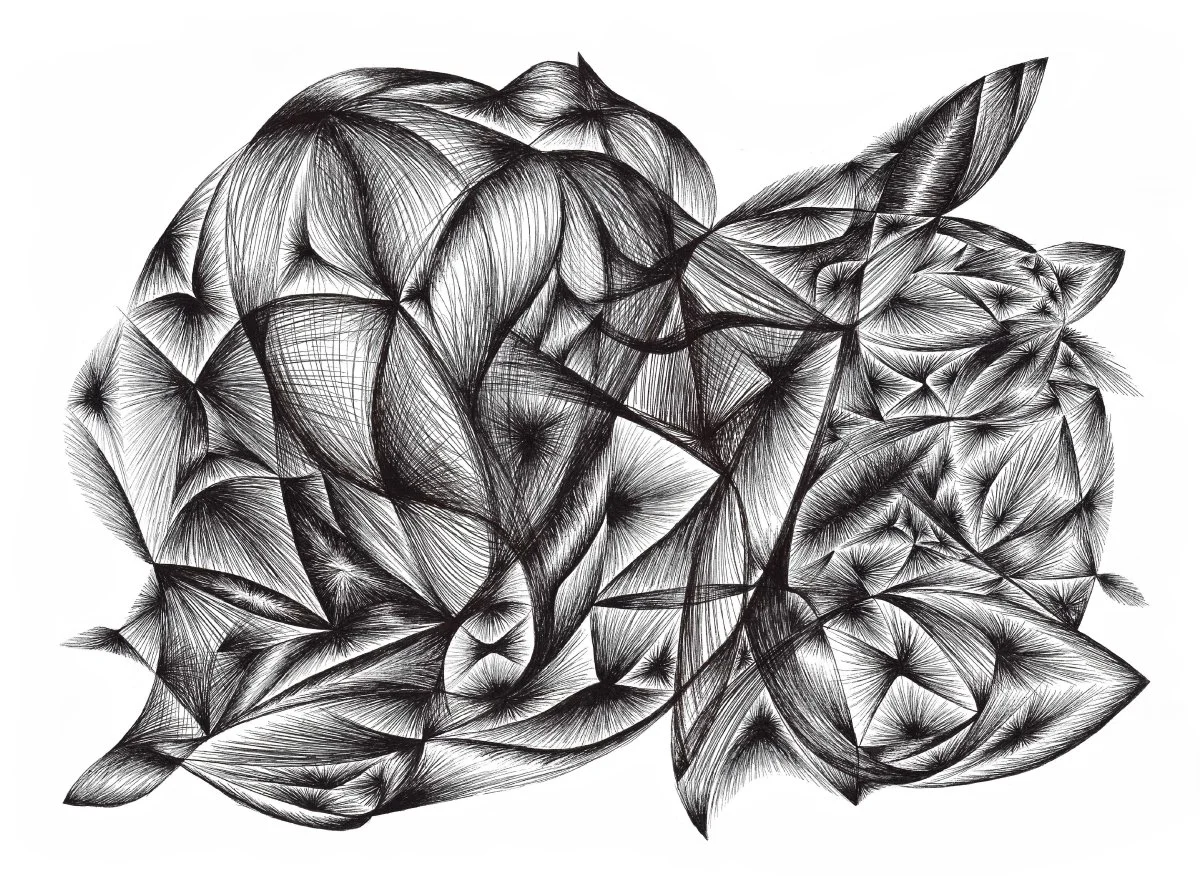 Untitled 1 - 2013, ink on paper, 29.7 x 42 x cm