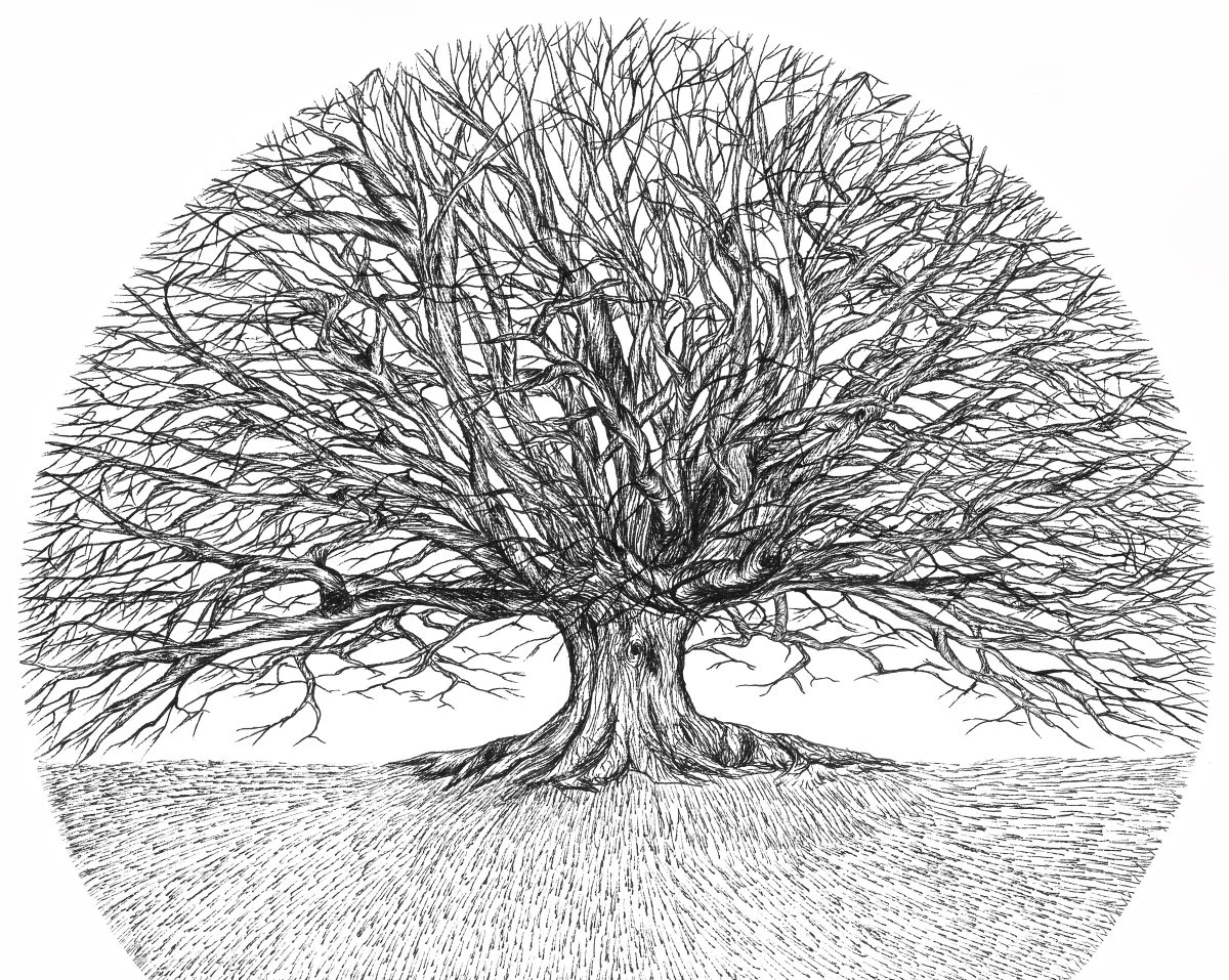 Final_7_Tree old scan- A1 1200.jpg