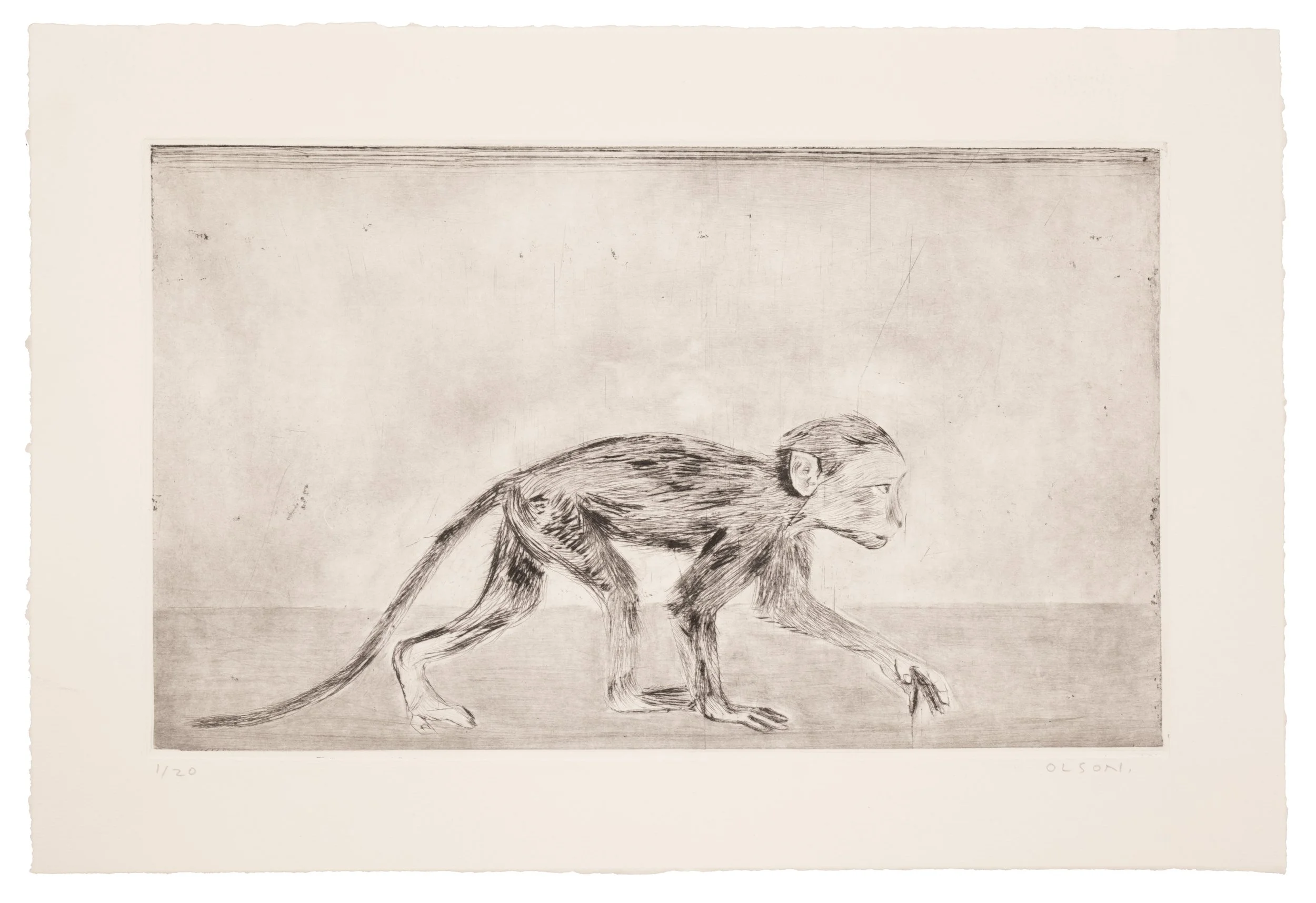   The Monkey  , 2026, drypoint copper plate print on paper, edition of 20 
Paper size: 11.5 x 17 inches 
Image size: 8.25 x 13.75 inches 
$350