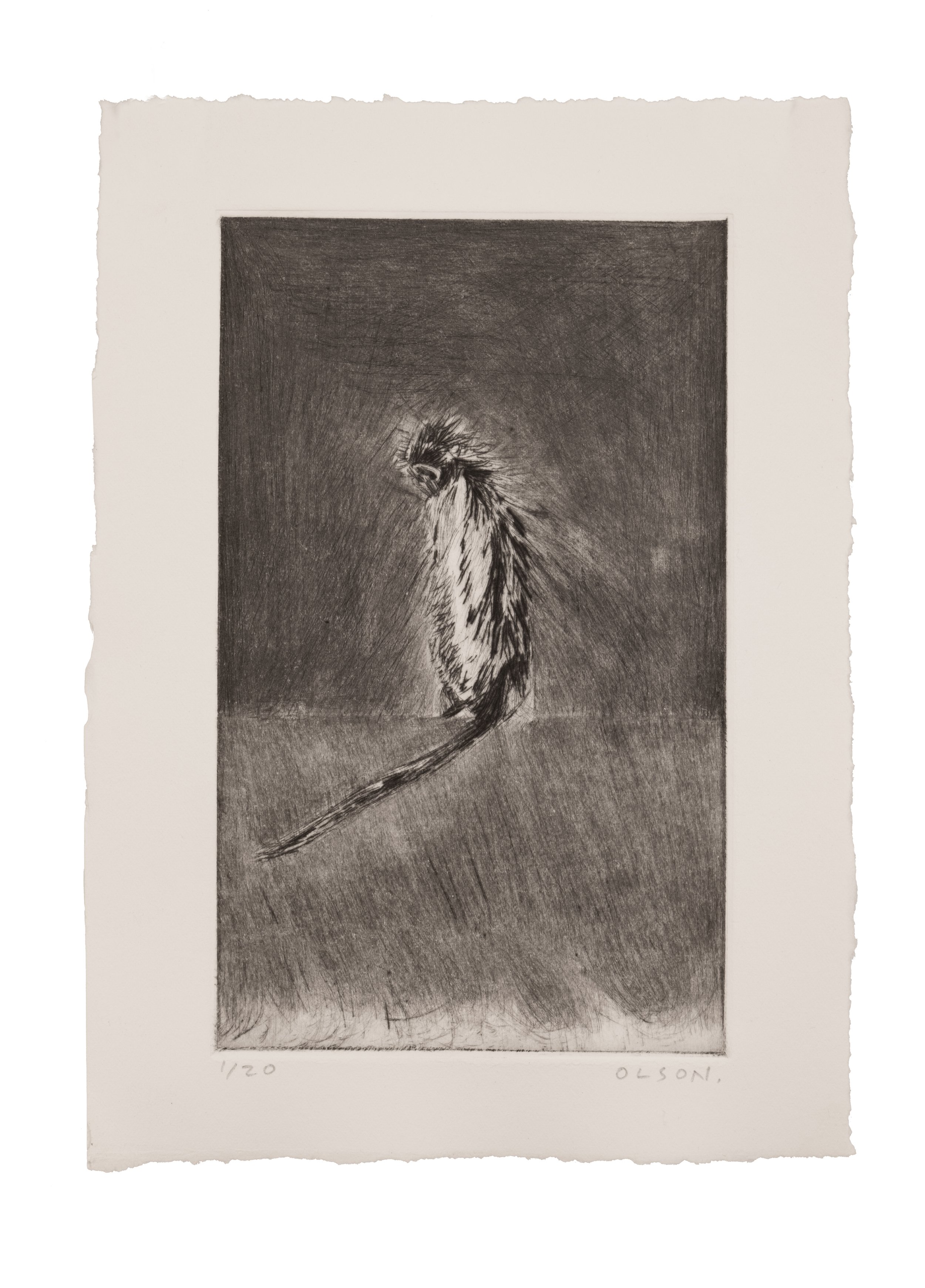   The Solo Monkey  , 2026, drypoint copper plate print on paper, edition of 20 
Paper size: 9.5 x 6.5 inches 
Image size: 7.5 x 4.5 inches 
$175
