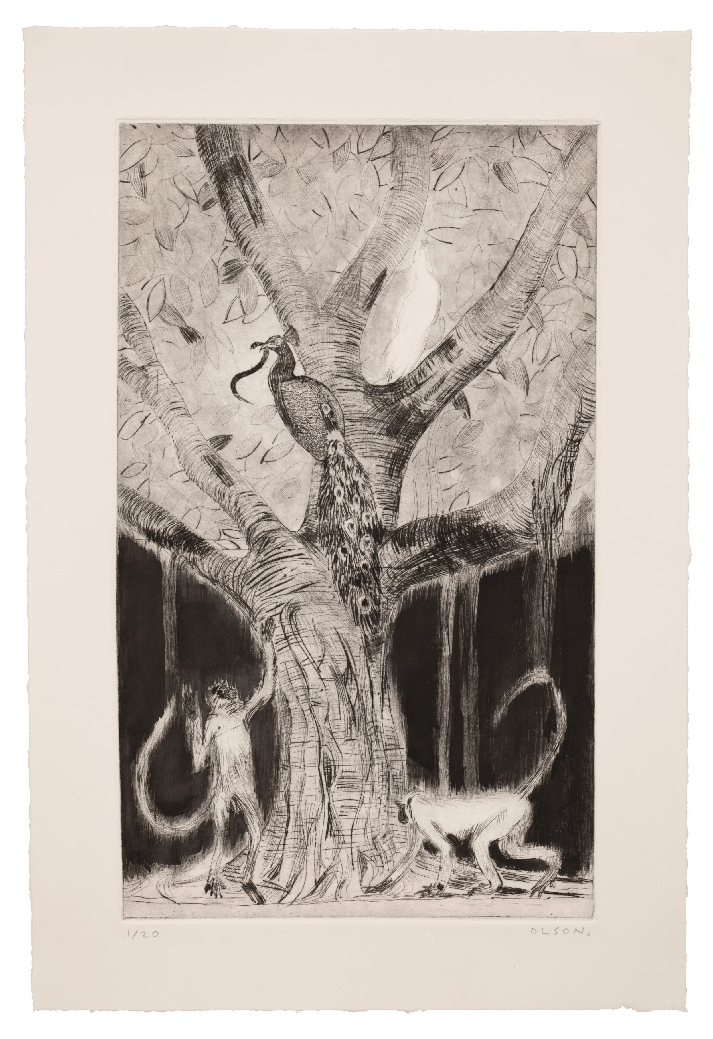   The Tree of Life  , 2026, drypoint copper plate print on paper, edition of 20 
Paper size: 17 x 11.5 inches 
Image size: 13.75 x 8.25 inches 
$350