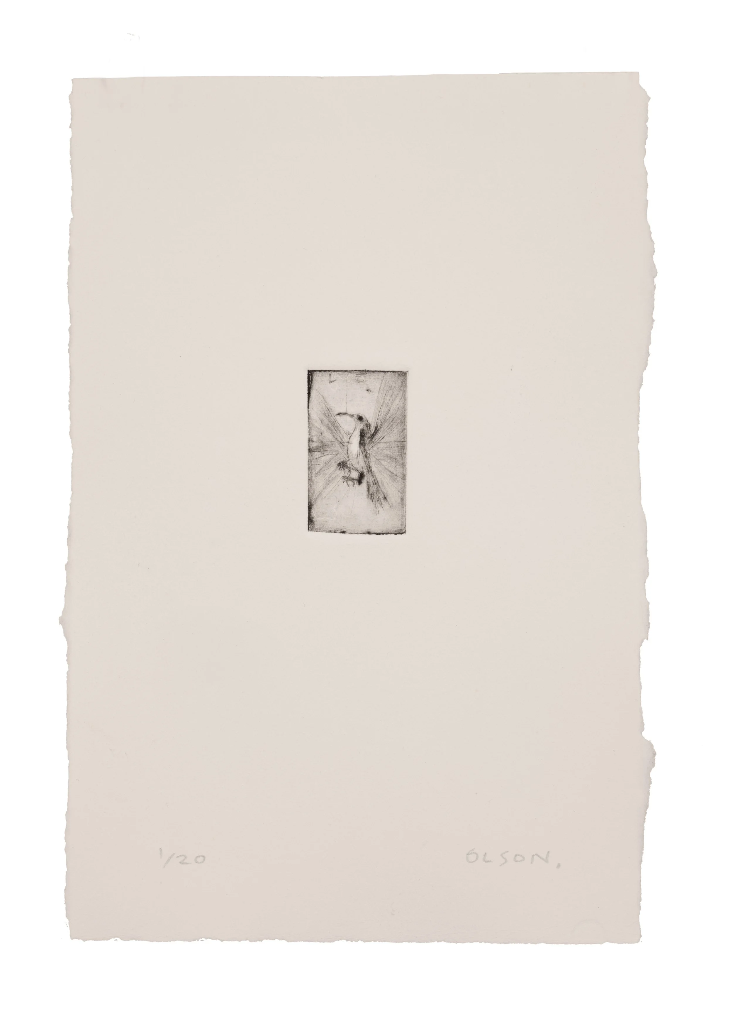   The Hummingbird  , 2026, drypoint copper plate print on paper, edition of 20 
Paper size: 9.5 x 6.5 inches 
Image size: 1.75 x 1 inches 
$175

