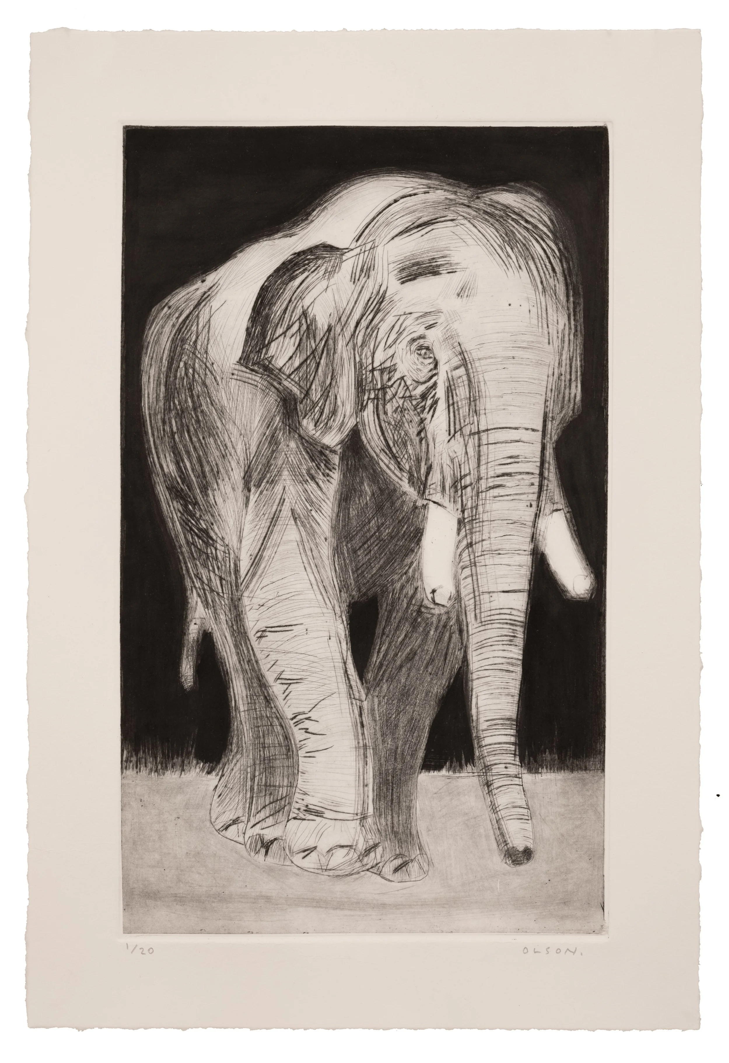   The Elephant  , 2026, drypoint copper plate print on paper, edition of 20 
Paper size: 17 x 11.5 inches 
Image size: 13.75 x 8.75 inches 
$350
