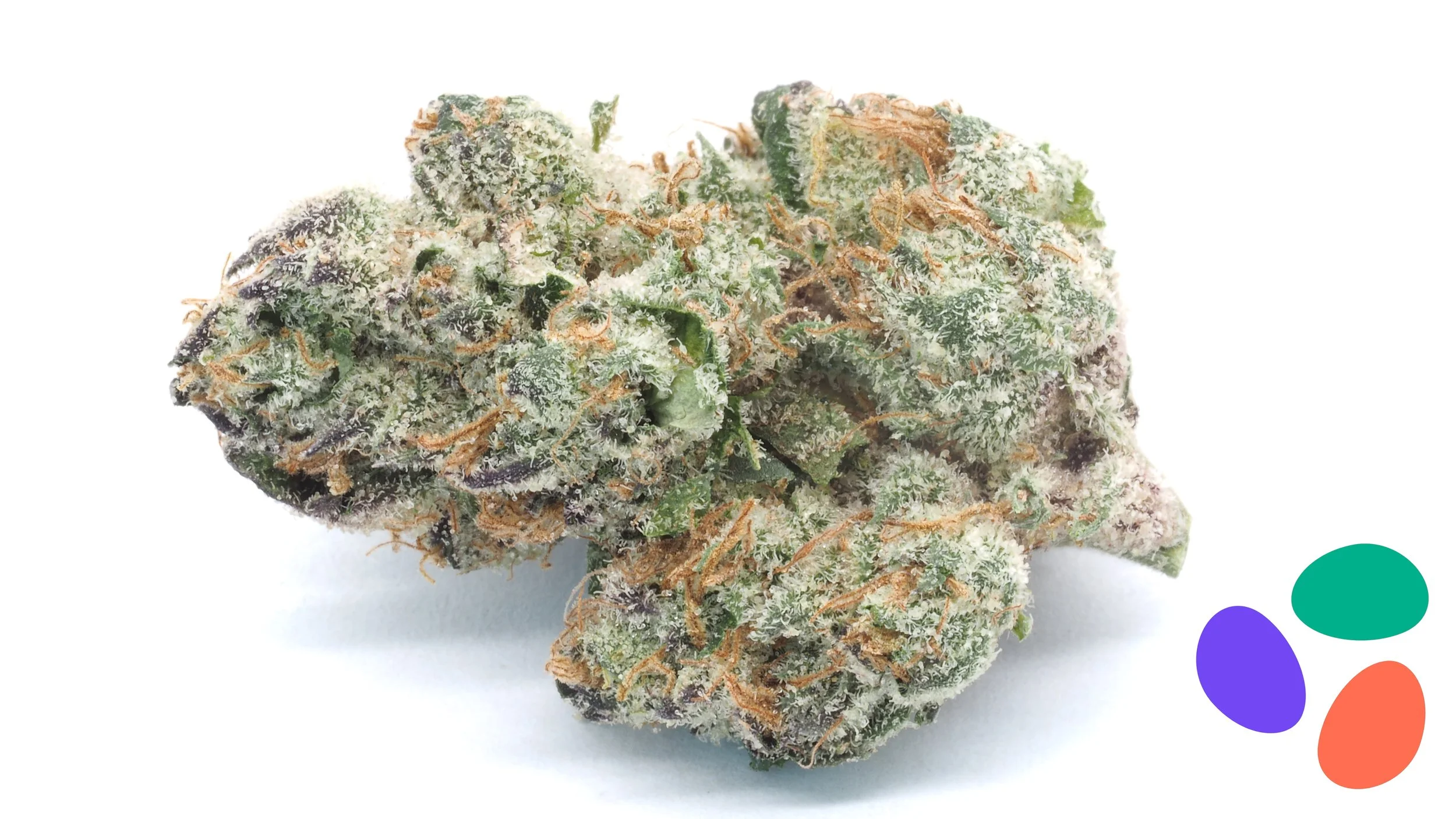 Frosted Cherries_hero_251210Q062.jpg