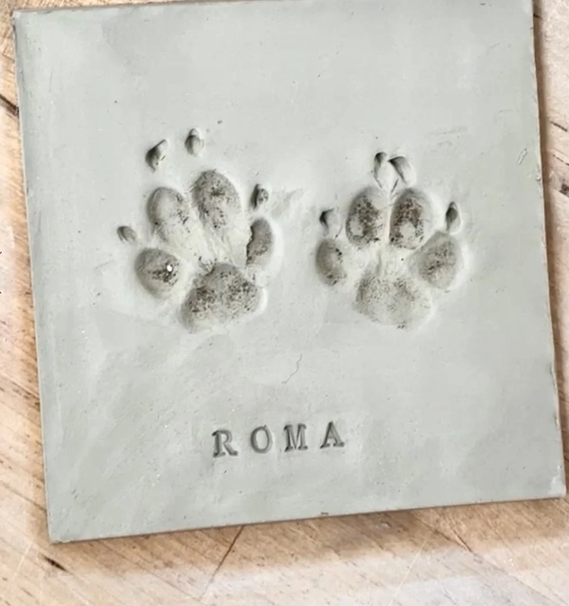 Workshop “Crea la huella de tu mascota“ 🐶🐾