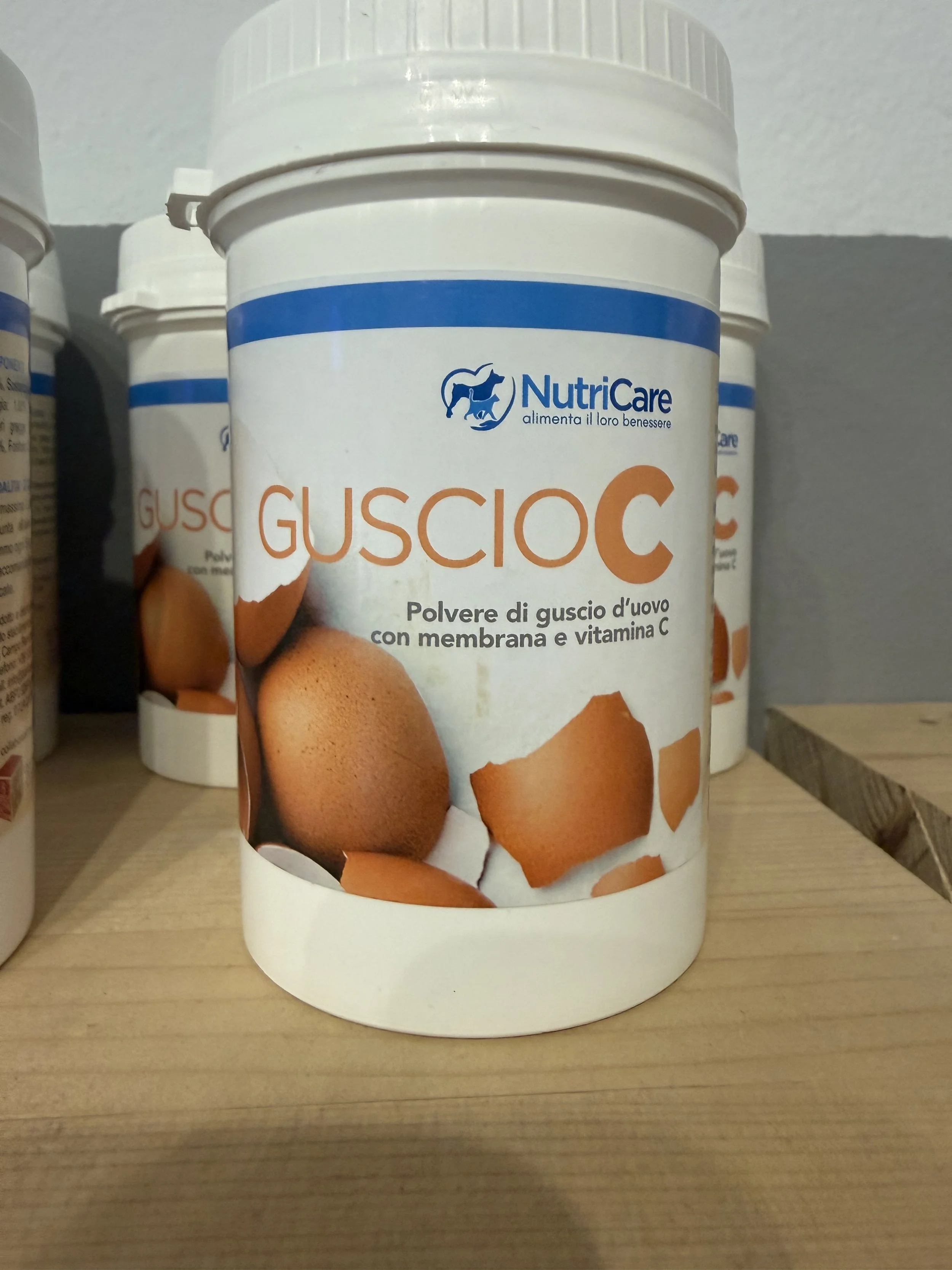 Guscio d'Uovo in Polvere