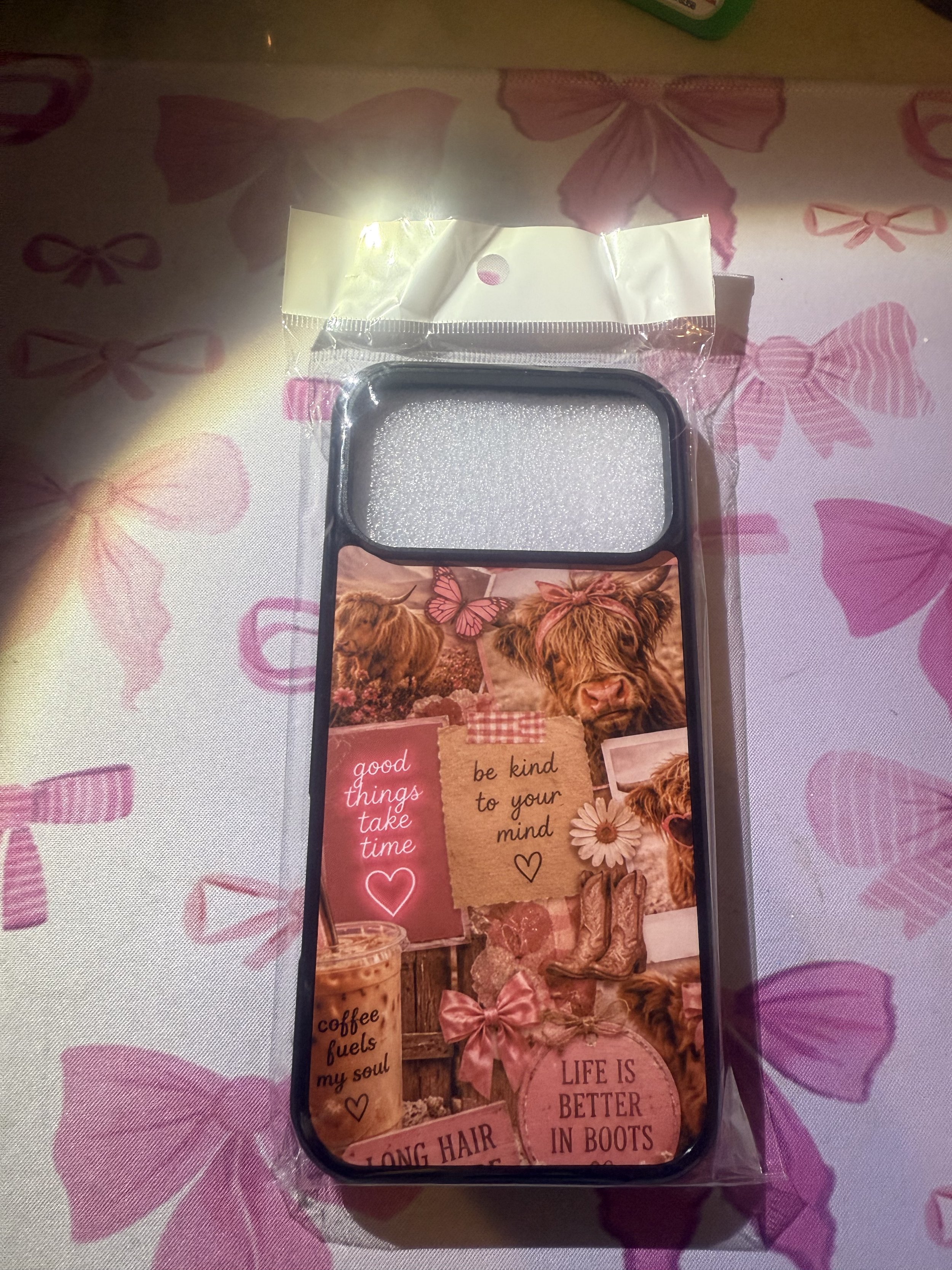 Mag safe iPhone 17 pro max case